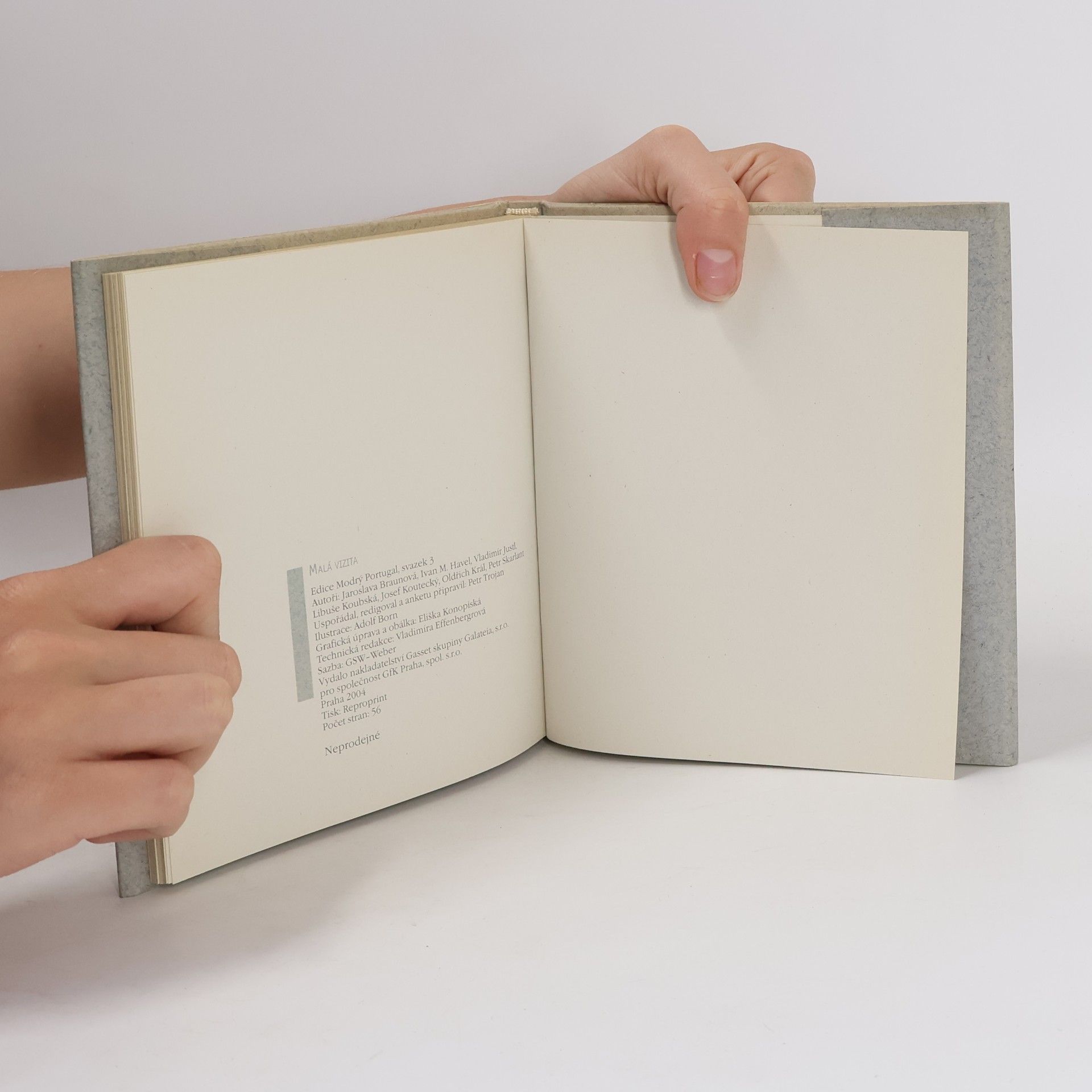 Autores varios Malá vizita