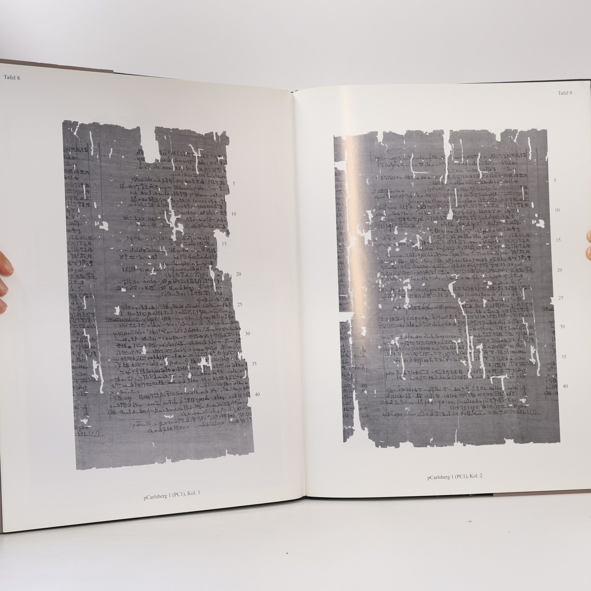 Alexandra von Lieven The Carlsberg Papyri - 8: Grundriss des Laufes der Sterne