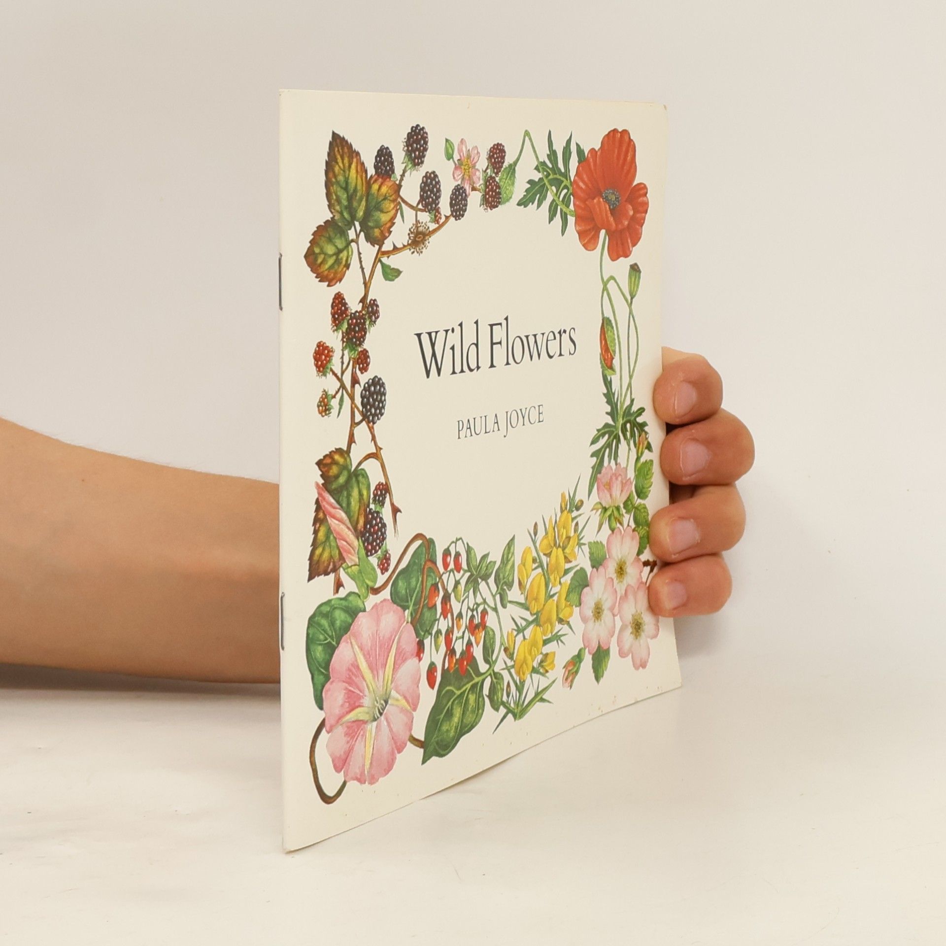 Paula Joyce Wild Flowers