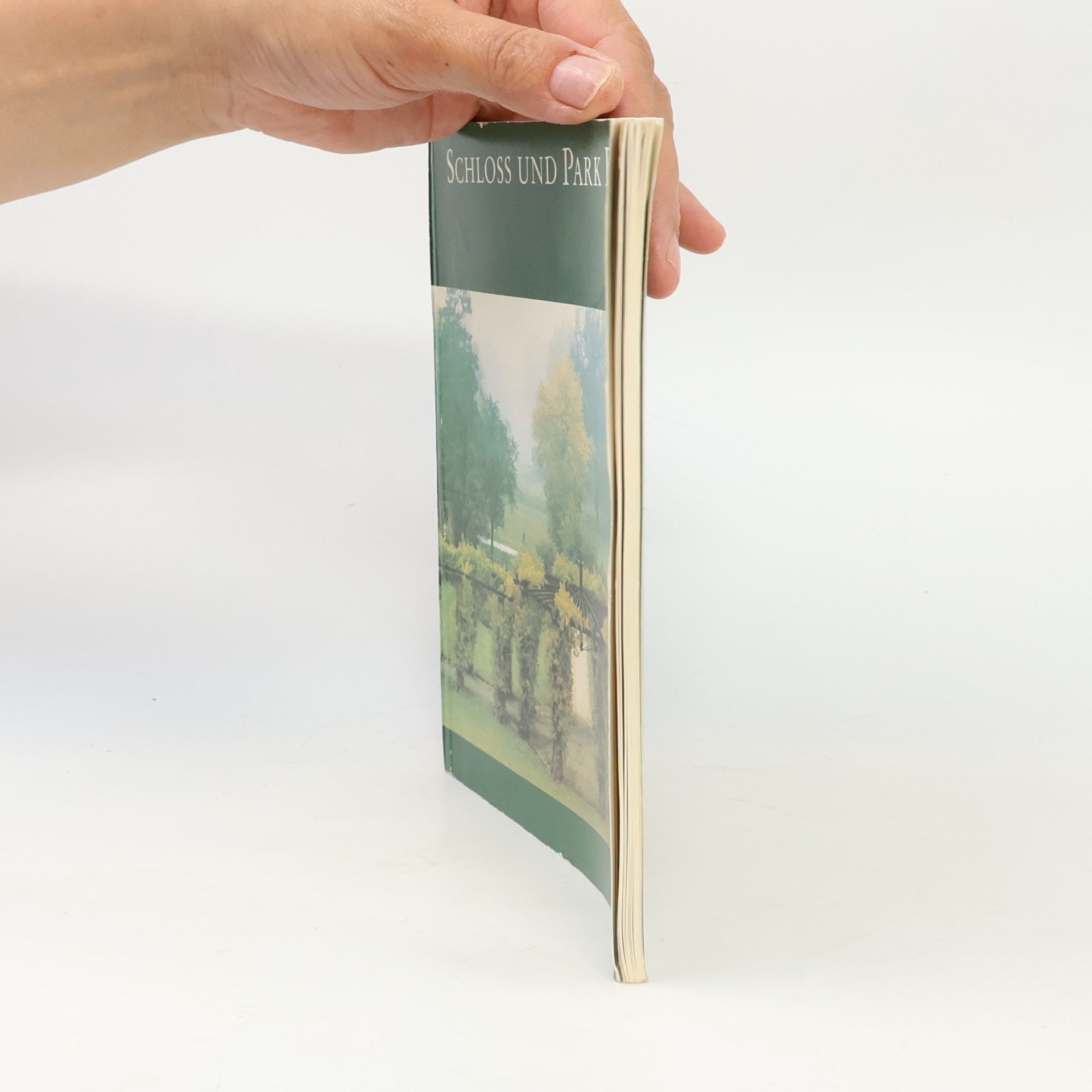 Collectif d'auteurs Schloss und Park Branitz