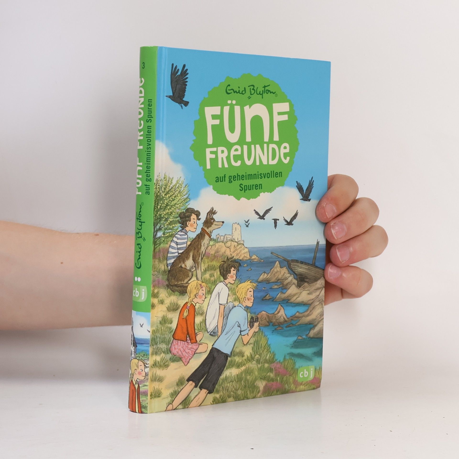 Enid Blyton Fünf Freunde auf geheimnisvollen Spuren
