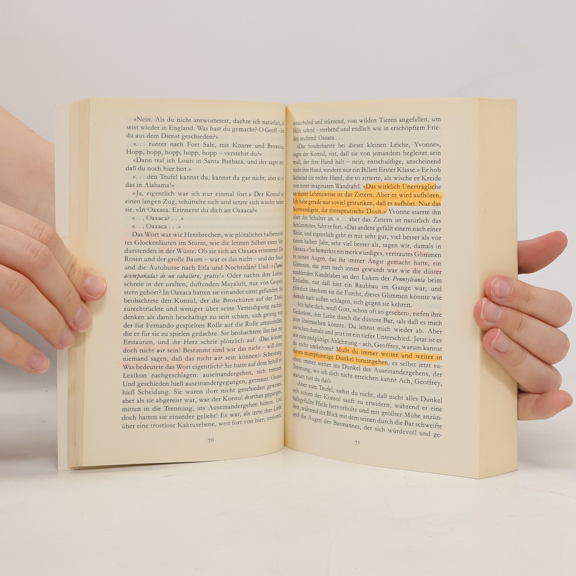Malcolm Lowry Unter dem Vulkan
