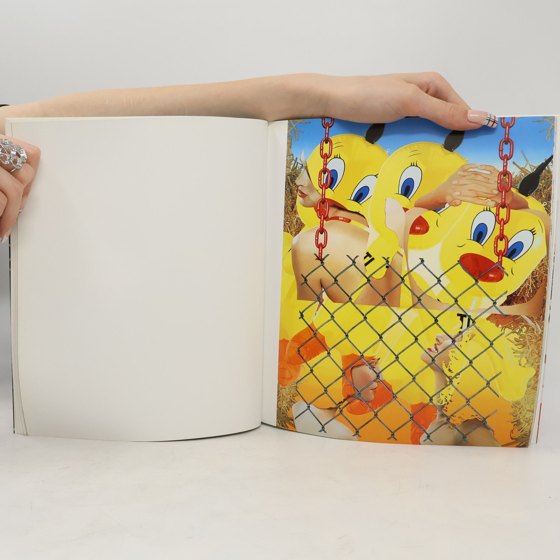 Dorothea von Hantelmann Jeff Koons