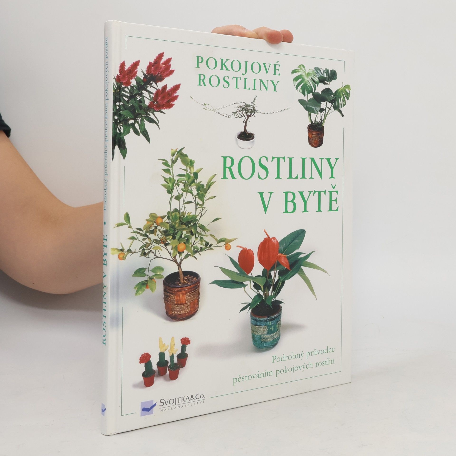 Auteurscollectief Rostliny v bytě. Pokojové rostliny