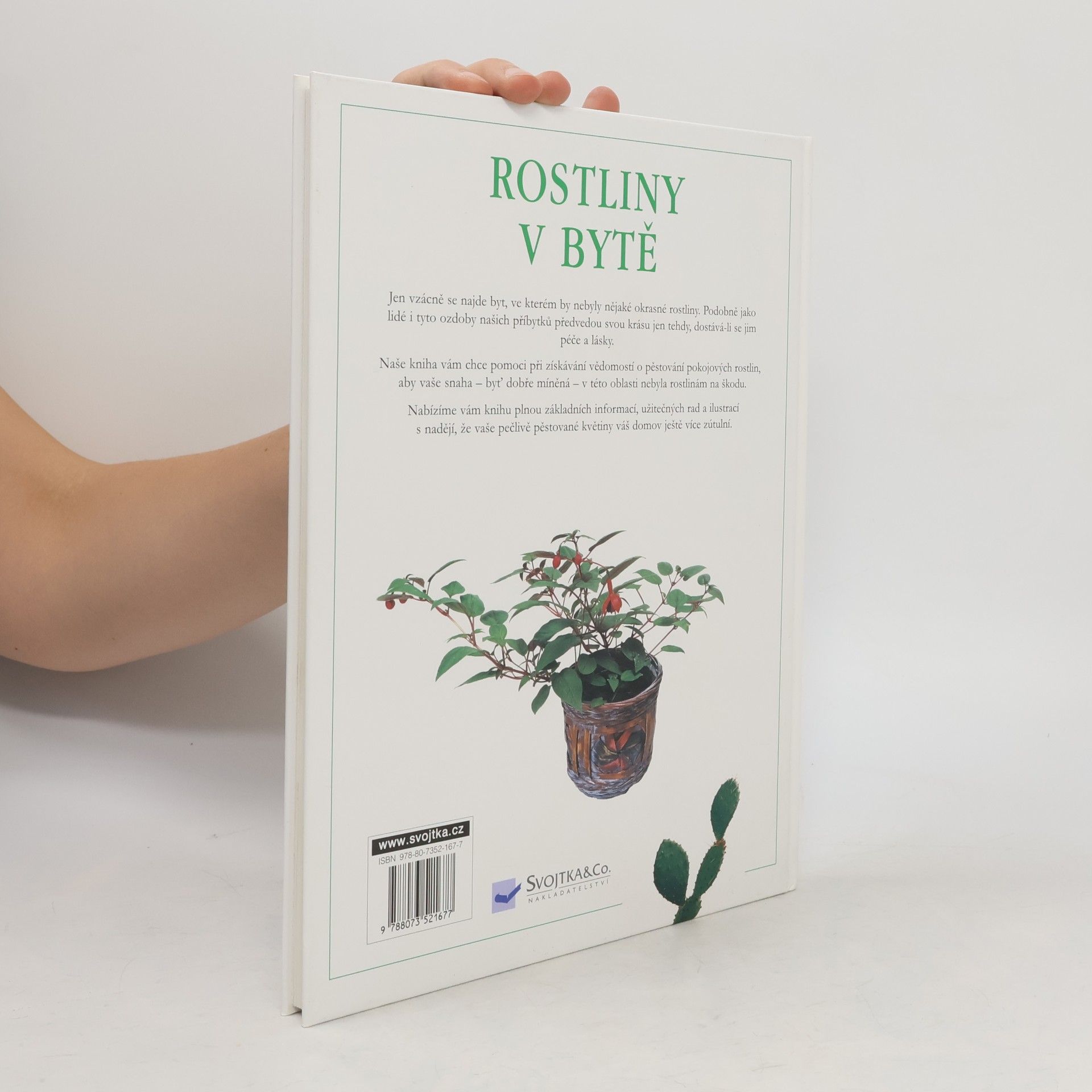 Auteurscollectief Rostliny v bytě. Pokojové rostliny