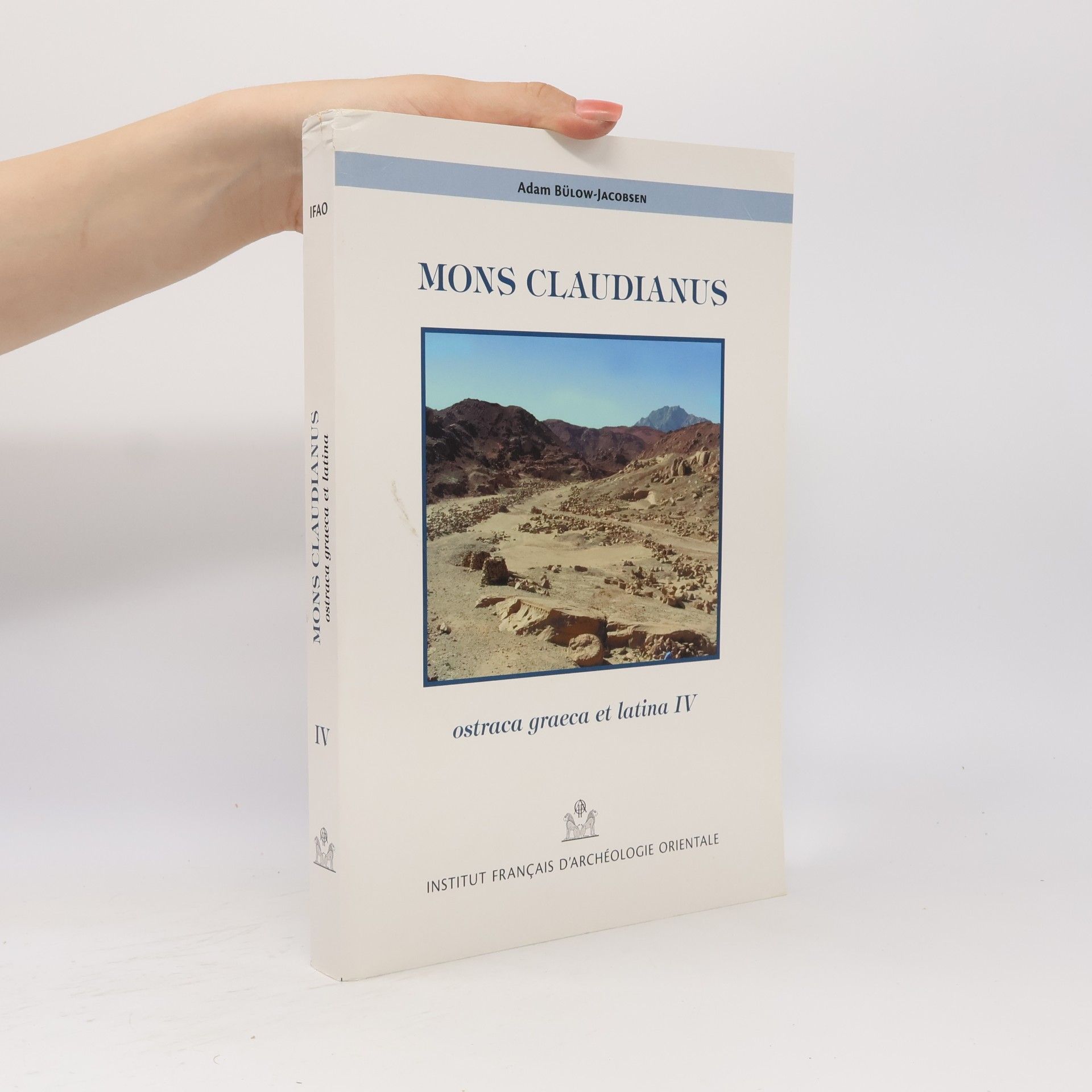 Adam Bülow-Jacobsen Mons Claudianus IV