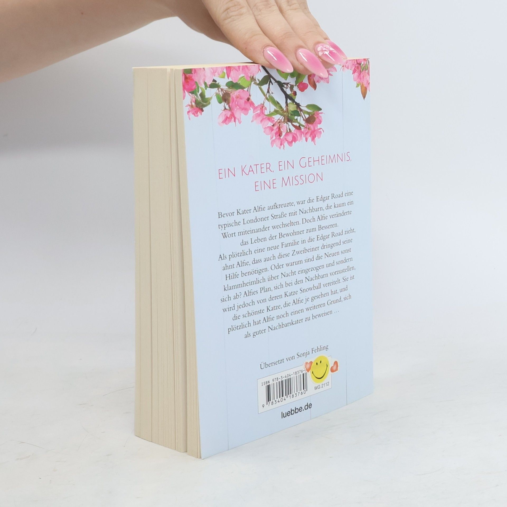 Rachel Wells Alfie - Retter auf Samtpfoten
