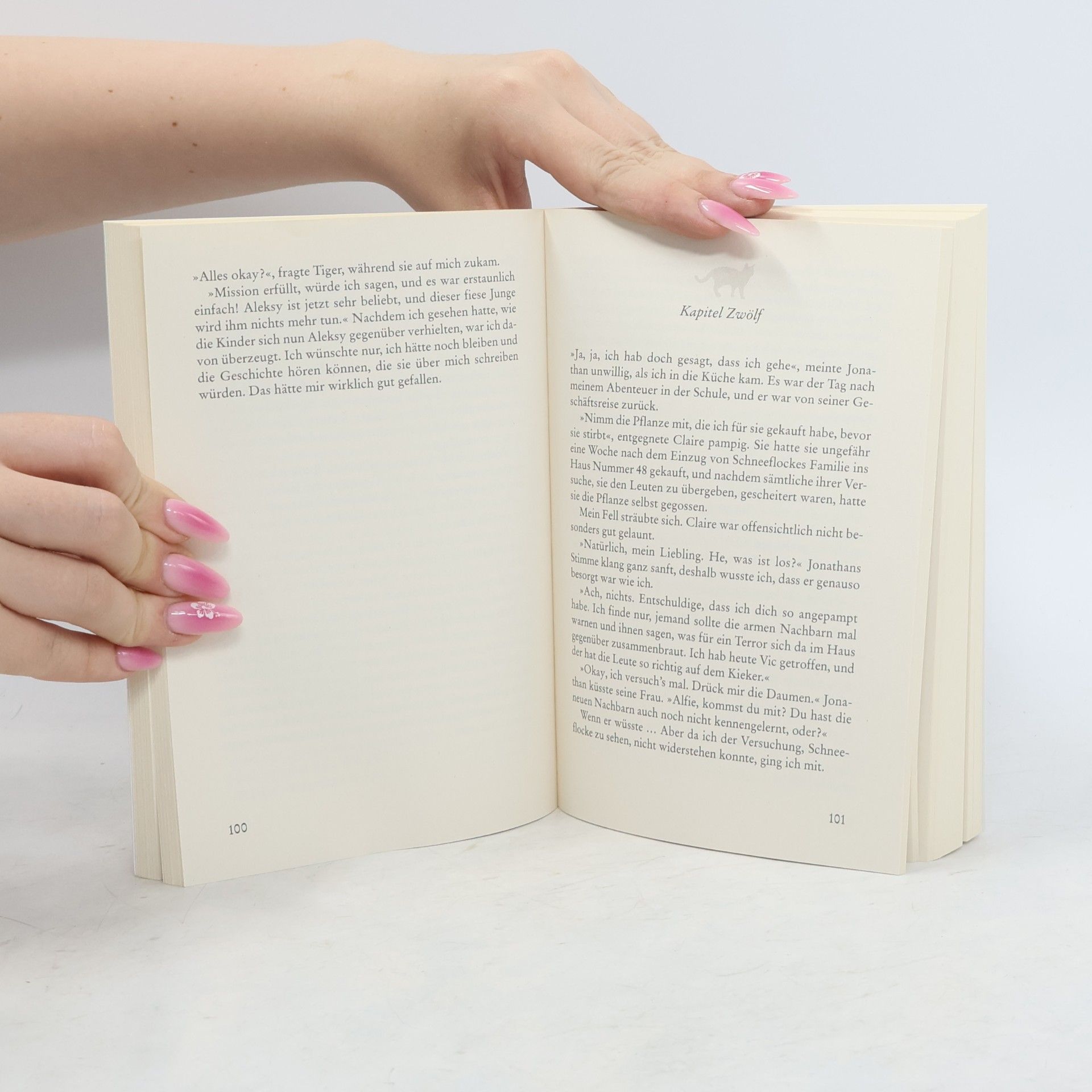 Rachel Wells Alfie - Retter auf Samtpfoten