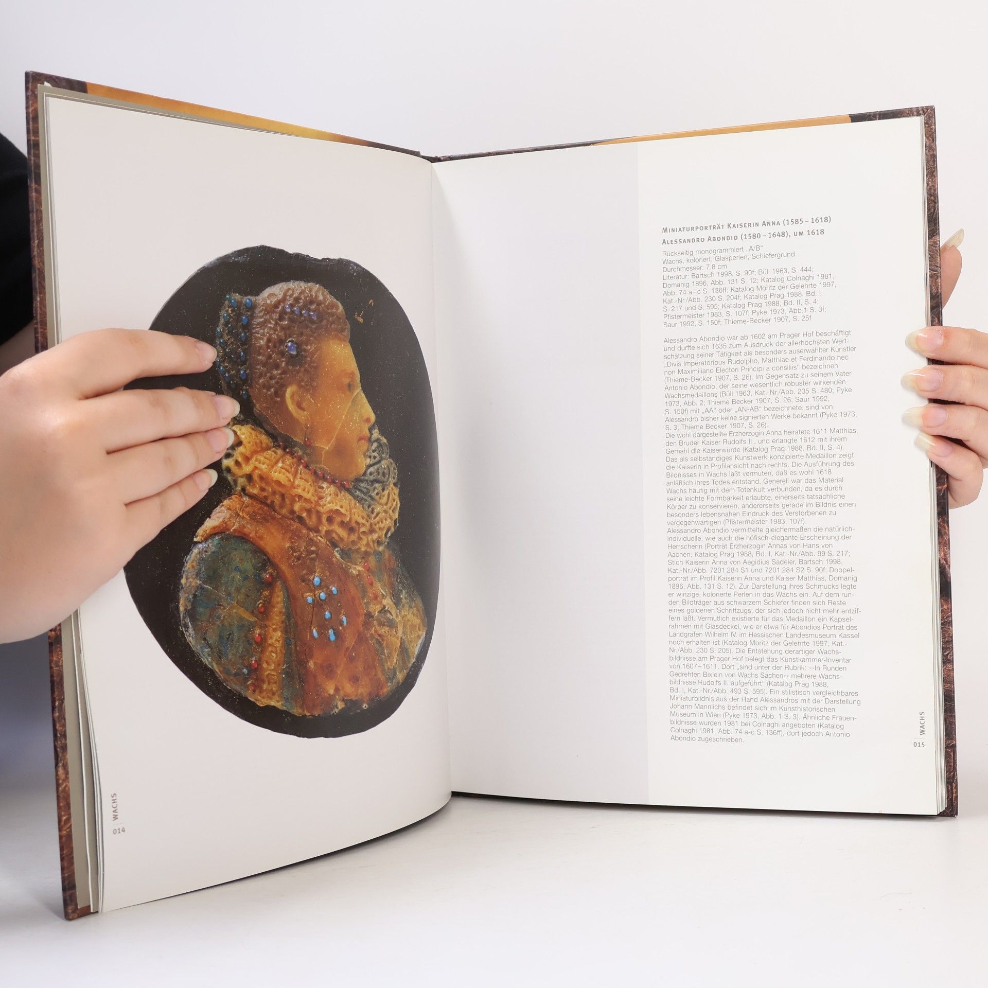 Kolektiv autorů Kunstkammer Georg Laue