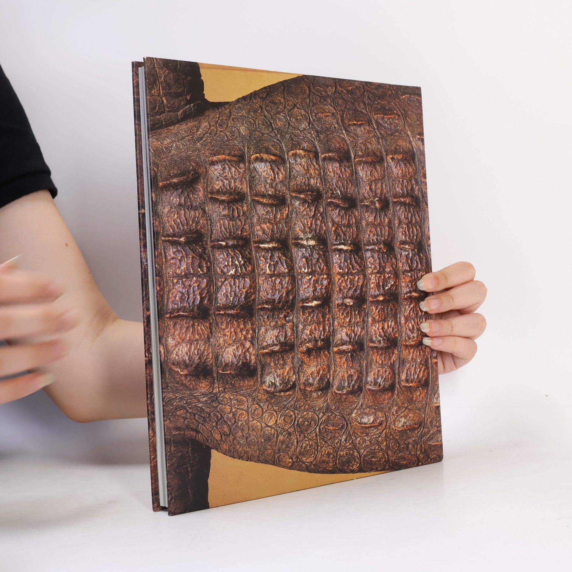 Kolektiv autorů Kunstkammer Georg Laue