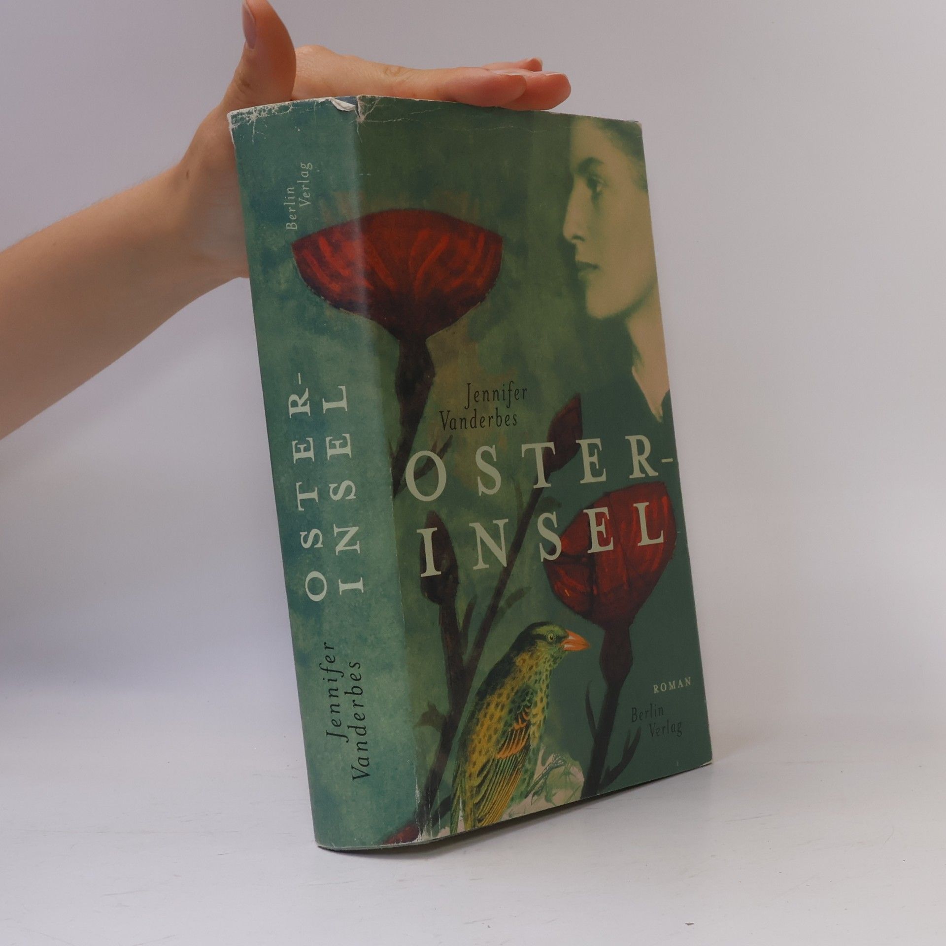 Jennifer Vanderbes Osterinsel