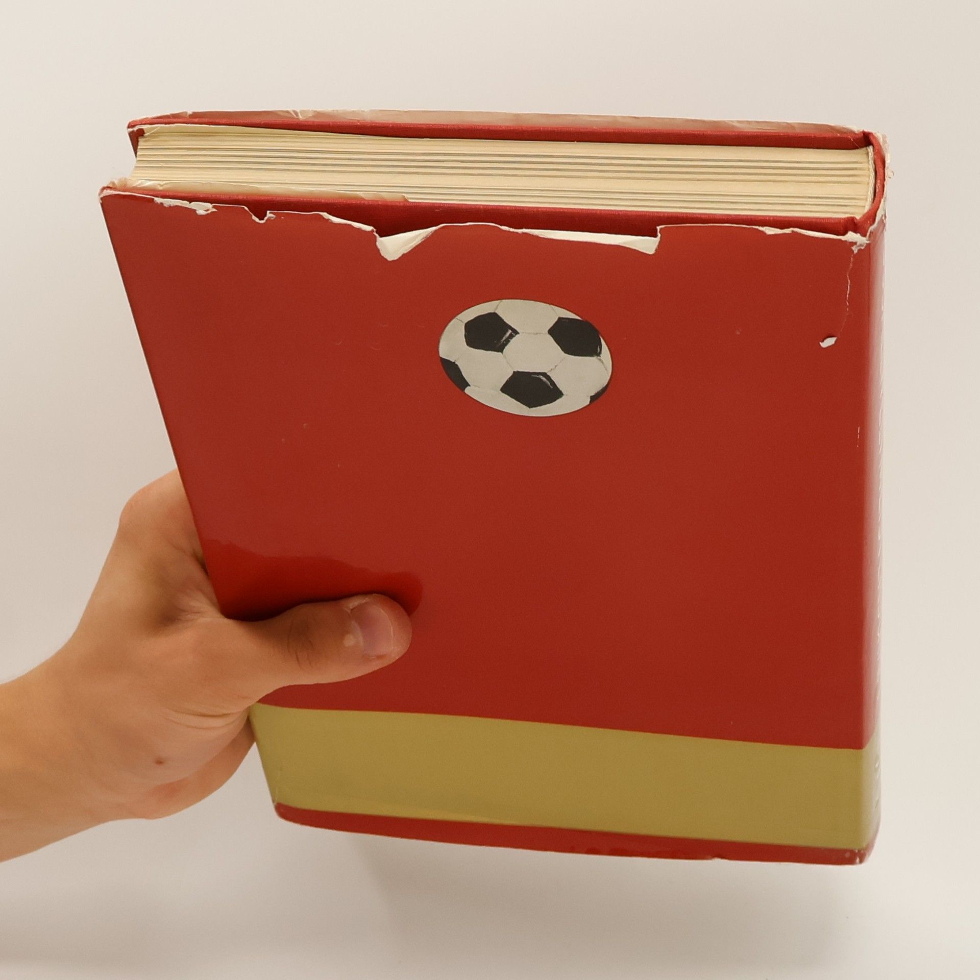 Kolektív autorov Fussball weltmeisterschaft 1970