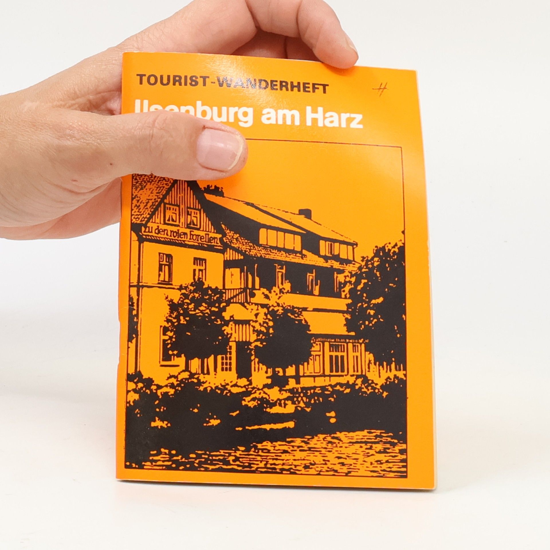 Collectif d'auteurs Ilsenburg am Harz