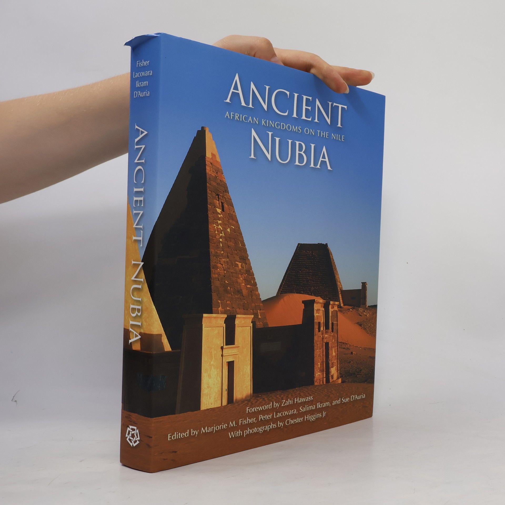 Sue D'Auria Ancient Nubia
