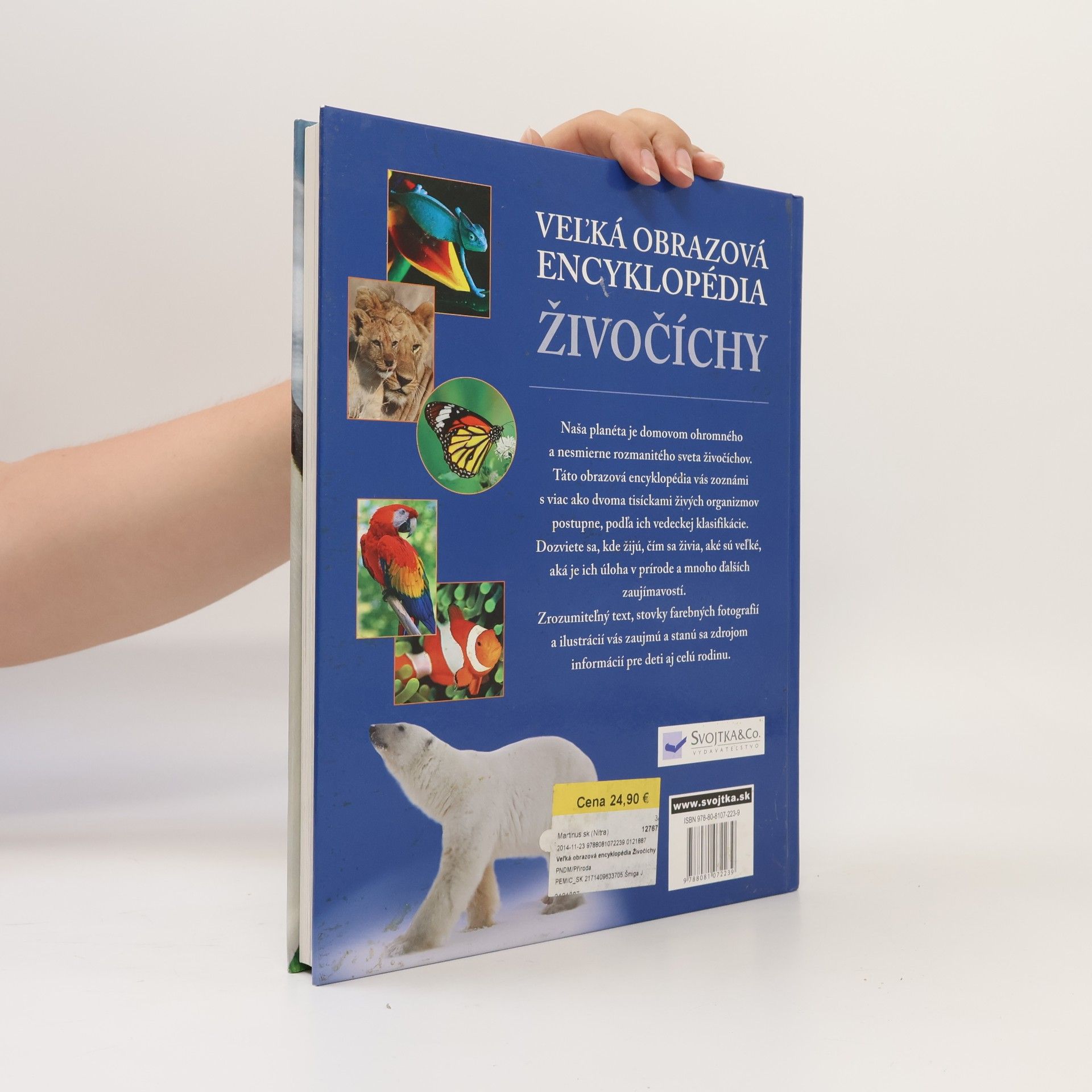 Autorenkollektiv Veľká obrazová encyklopédia: Živočíchy