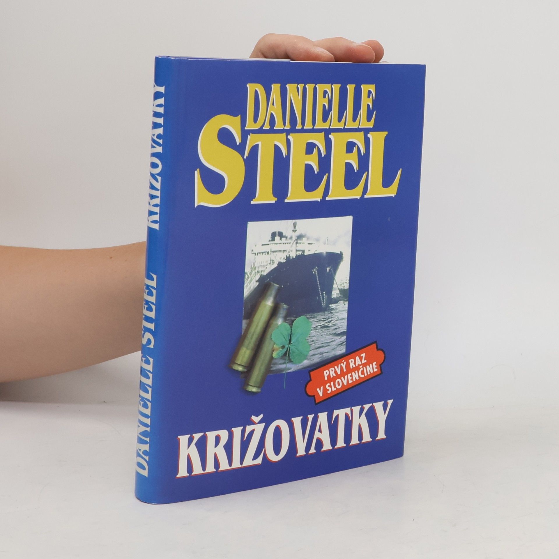 Danielle Steel Križovatky