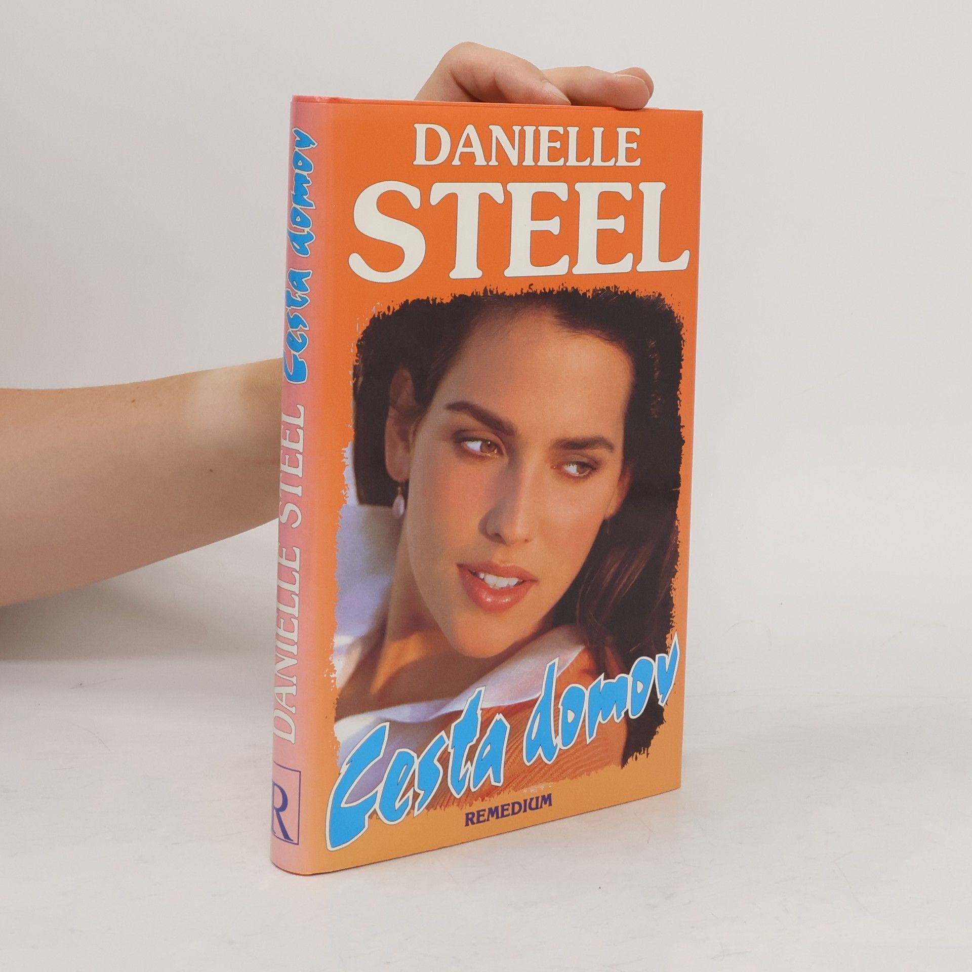 Danielle Steelová Cesta domov