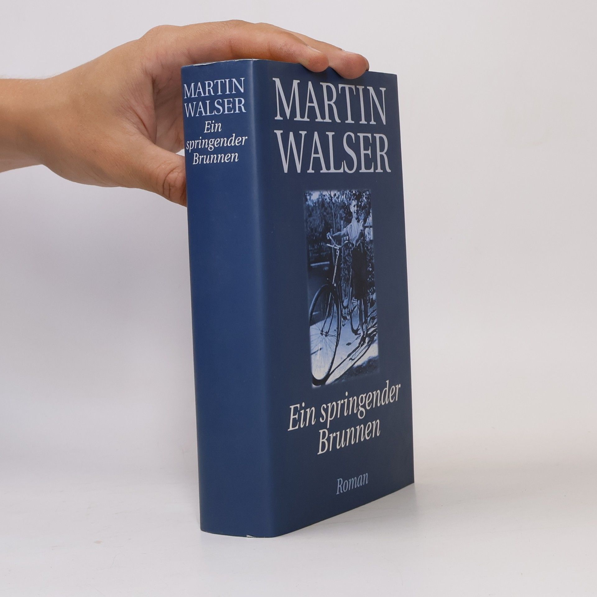 Martin Walser Ein springender Brunnen