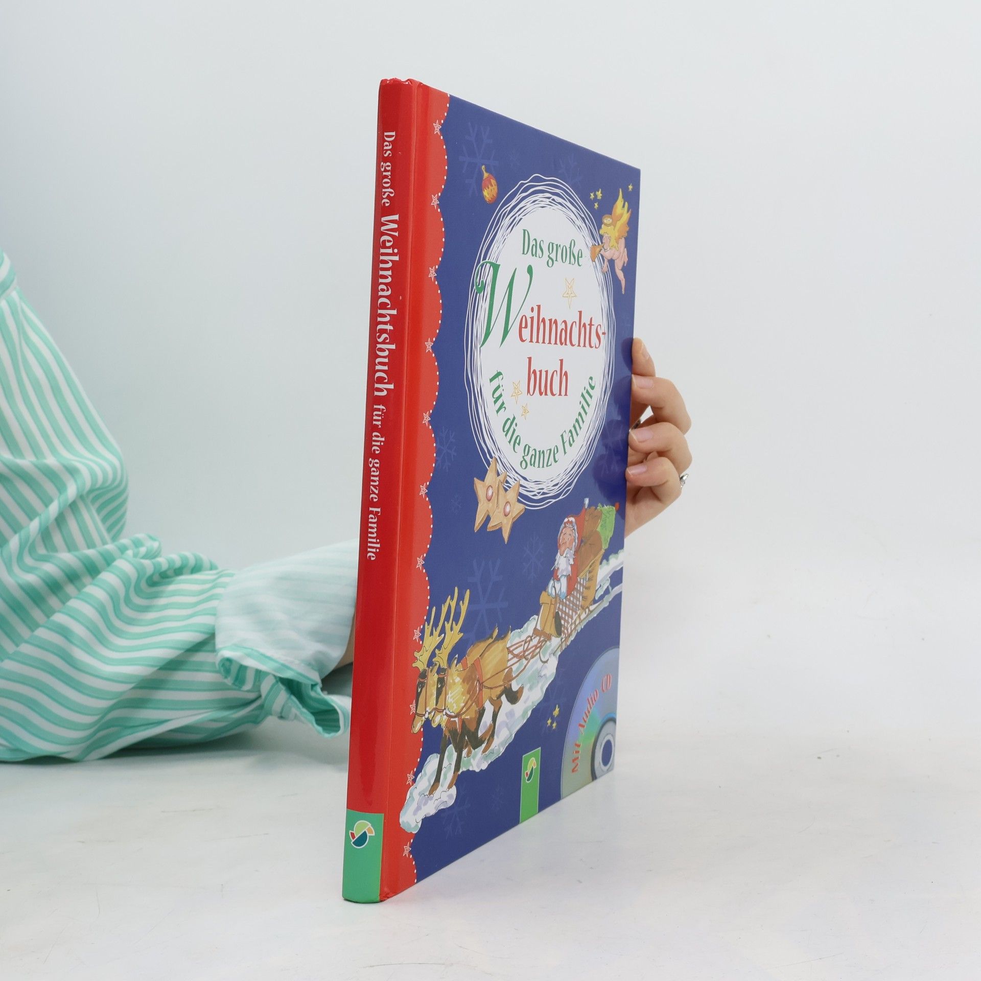 Das große Weihnachtsbuch für die ganze Familie