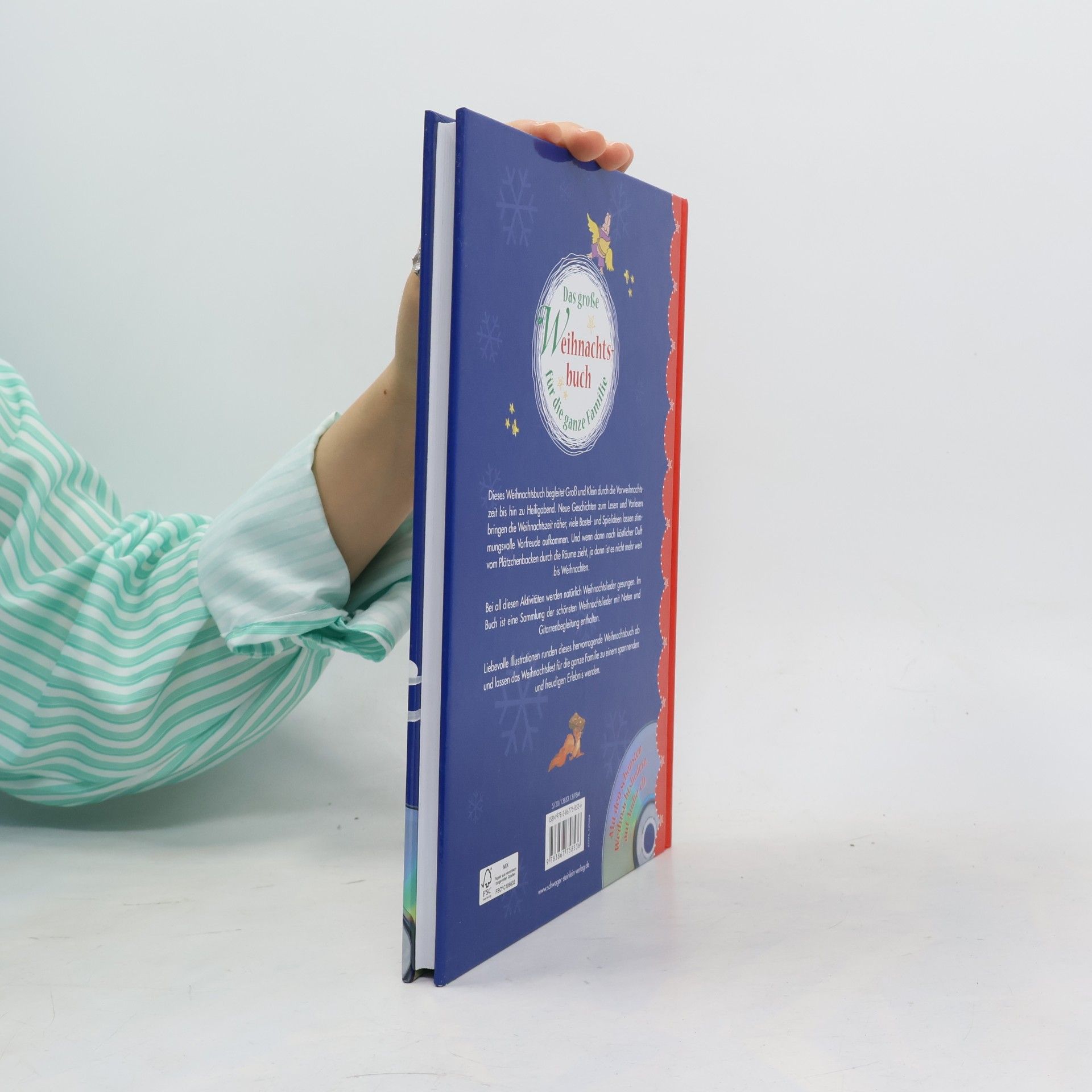 Ingrid Pabst Das große Weihnachtsbuch für die ganze Familie