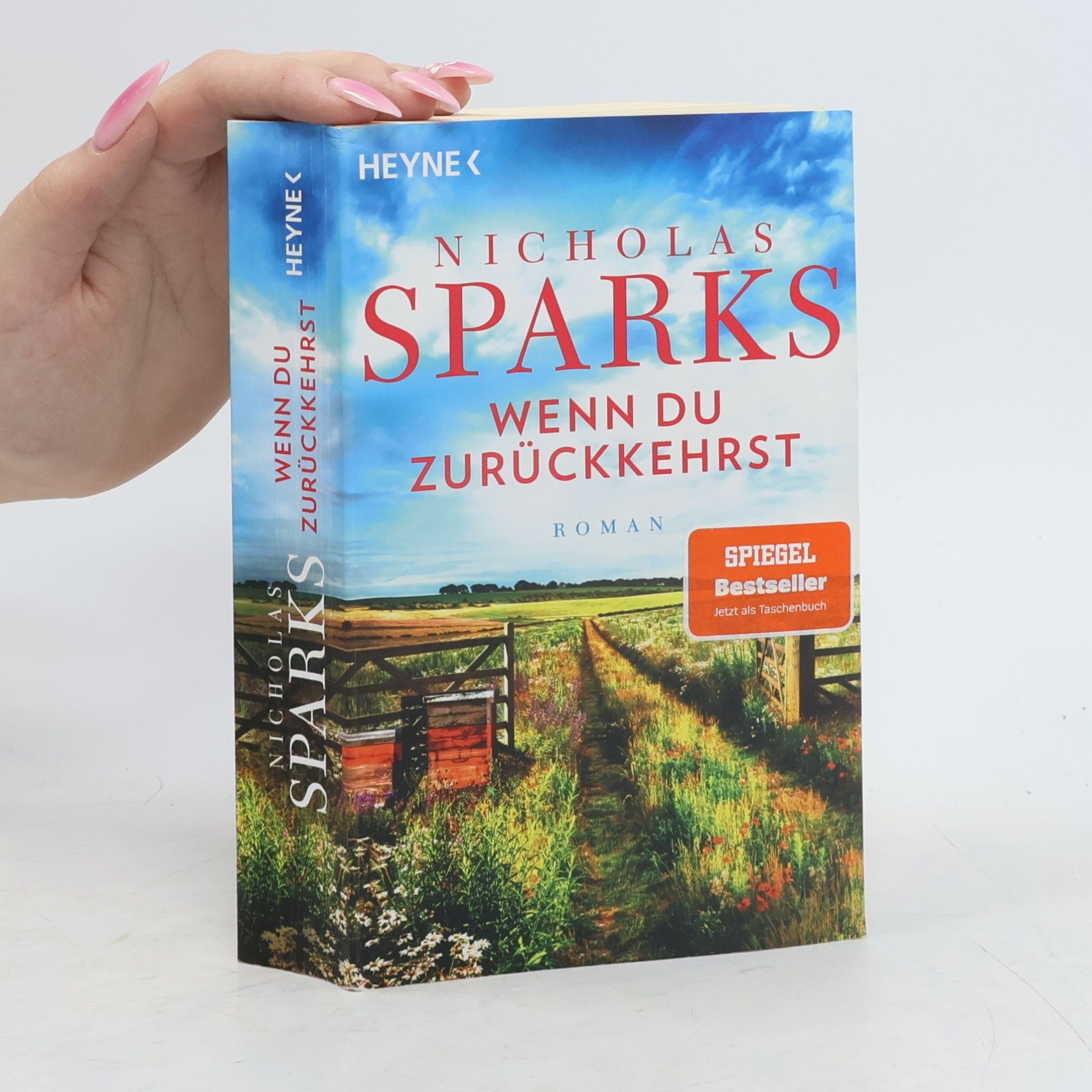 Nicholas Sparks Wenn du zurückkehrst