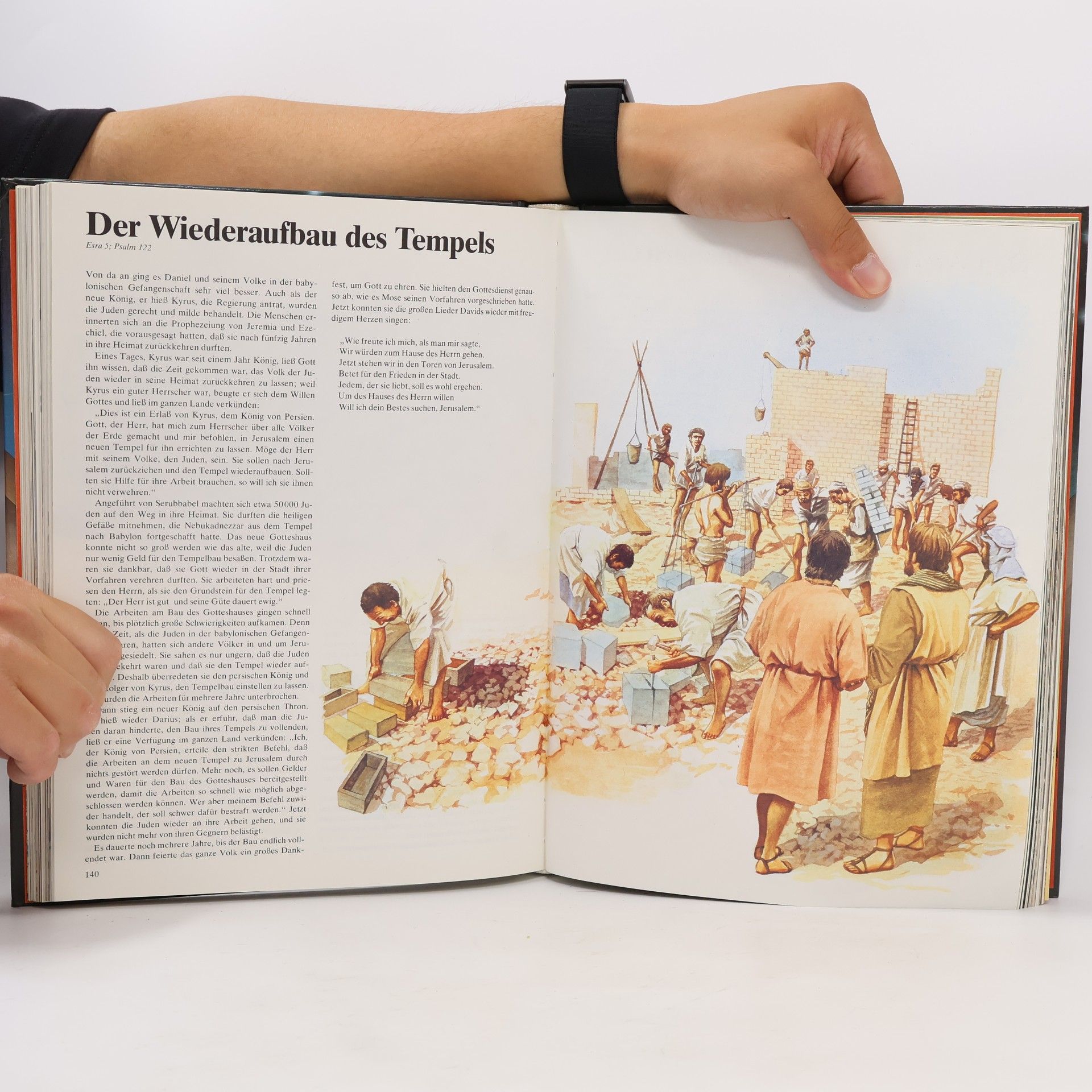 Various authors Die Bibel