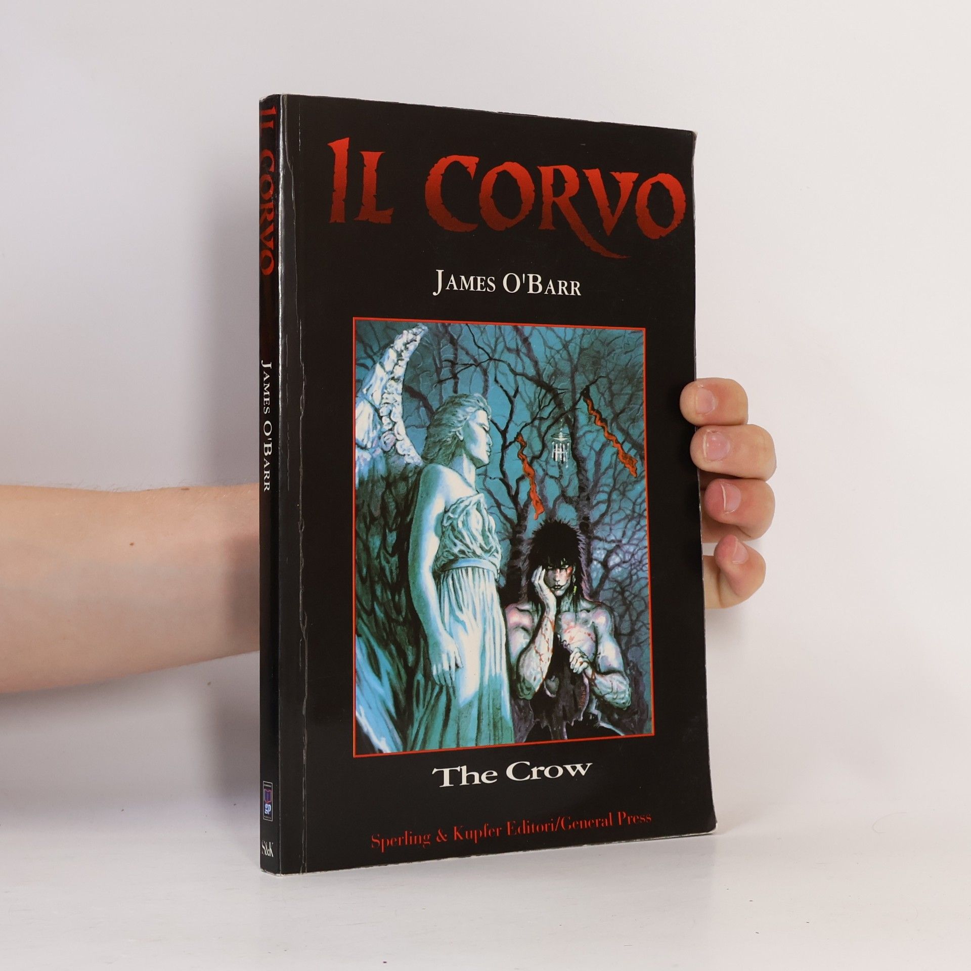 Pasquale Ruggiero Il corvo