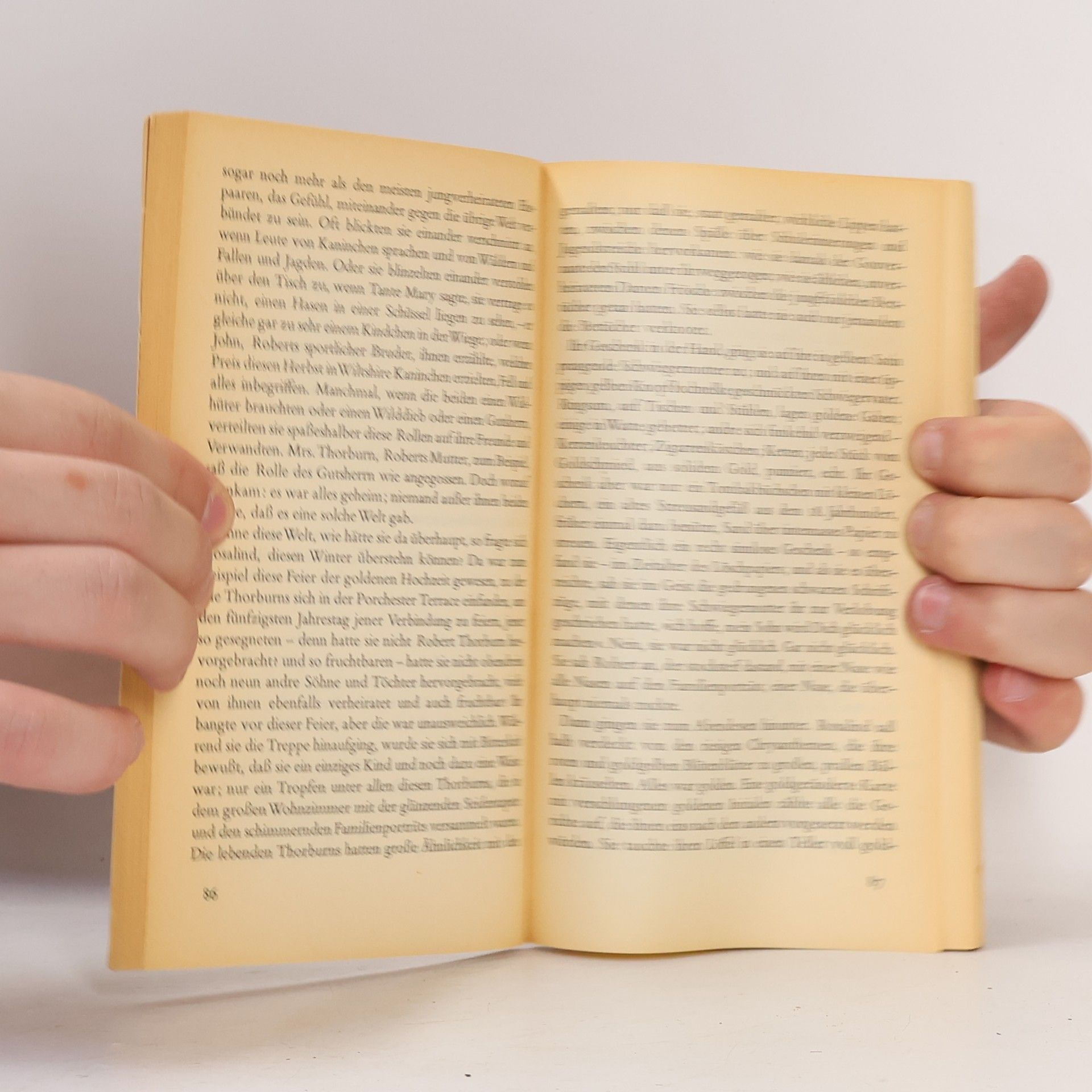 Virginia Woolf Die Dame im Spiegel