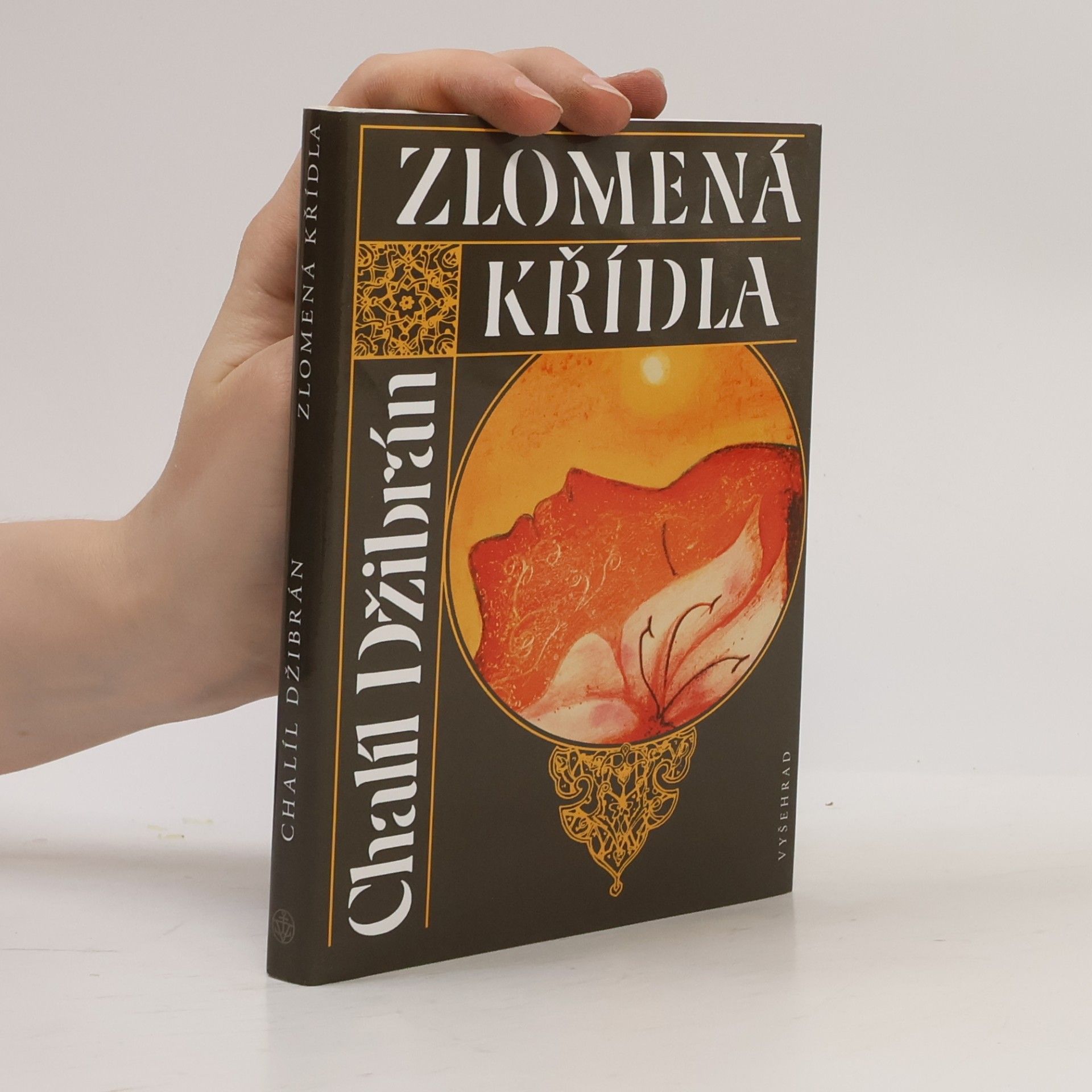 Zlomená křídla