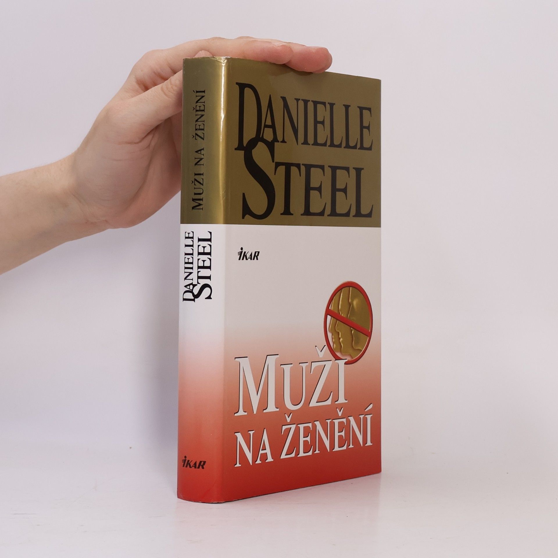 Danielle Steel Muži na ženění