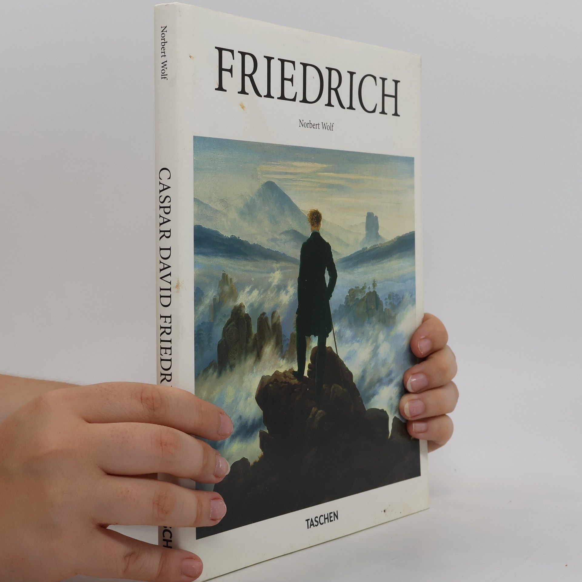Norbert Wolf Friedrich