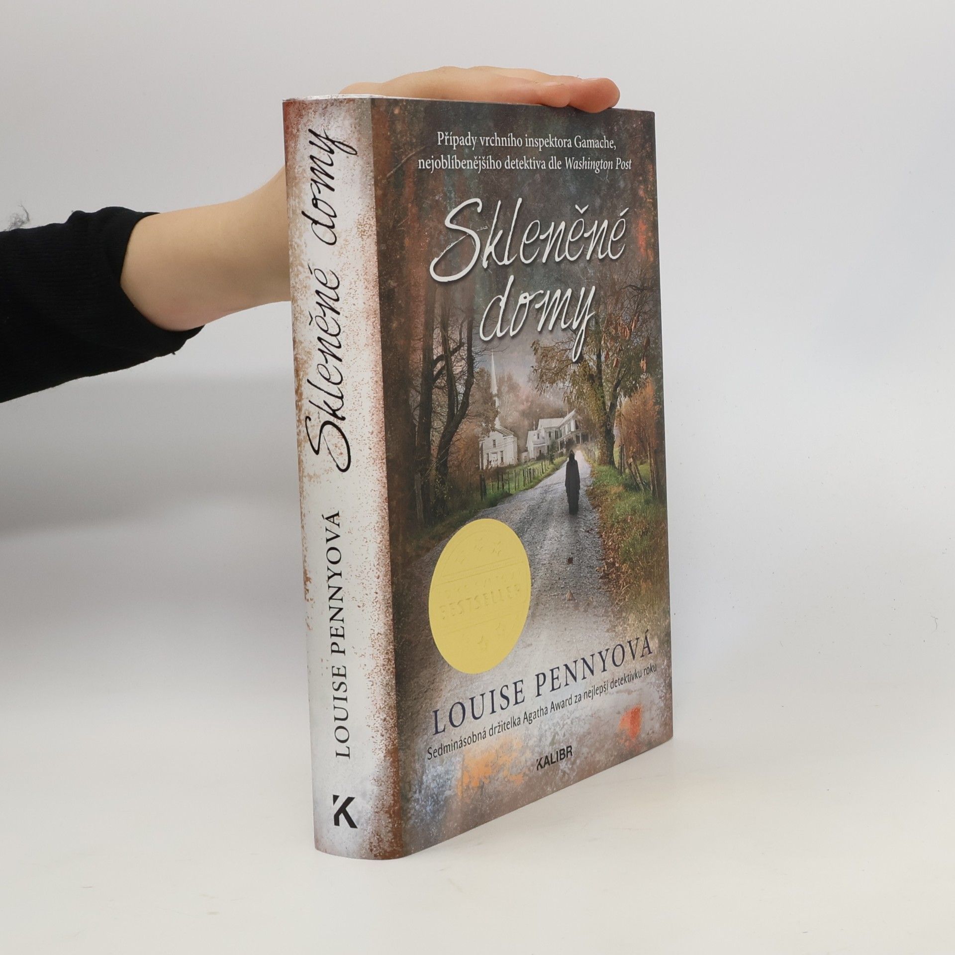 Louise Penny Skleněné domy