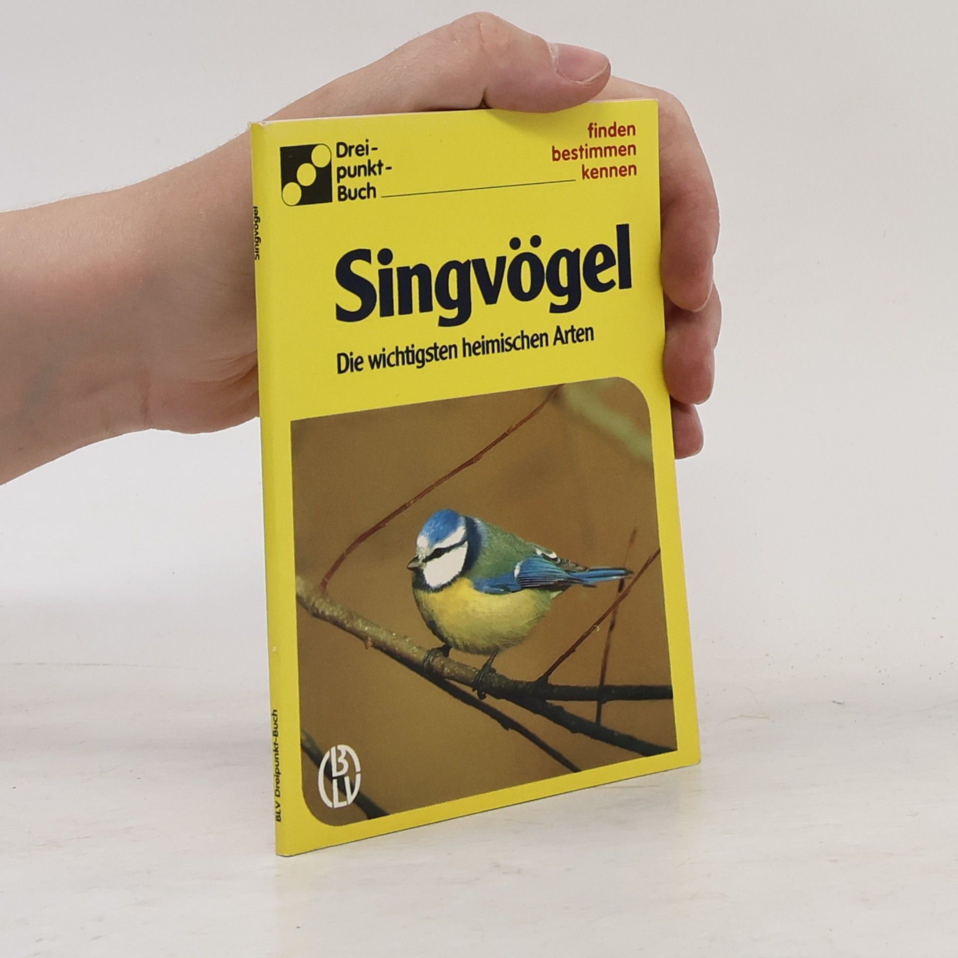 Alfred Handel Singvögel