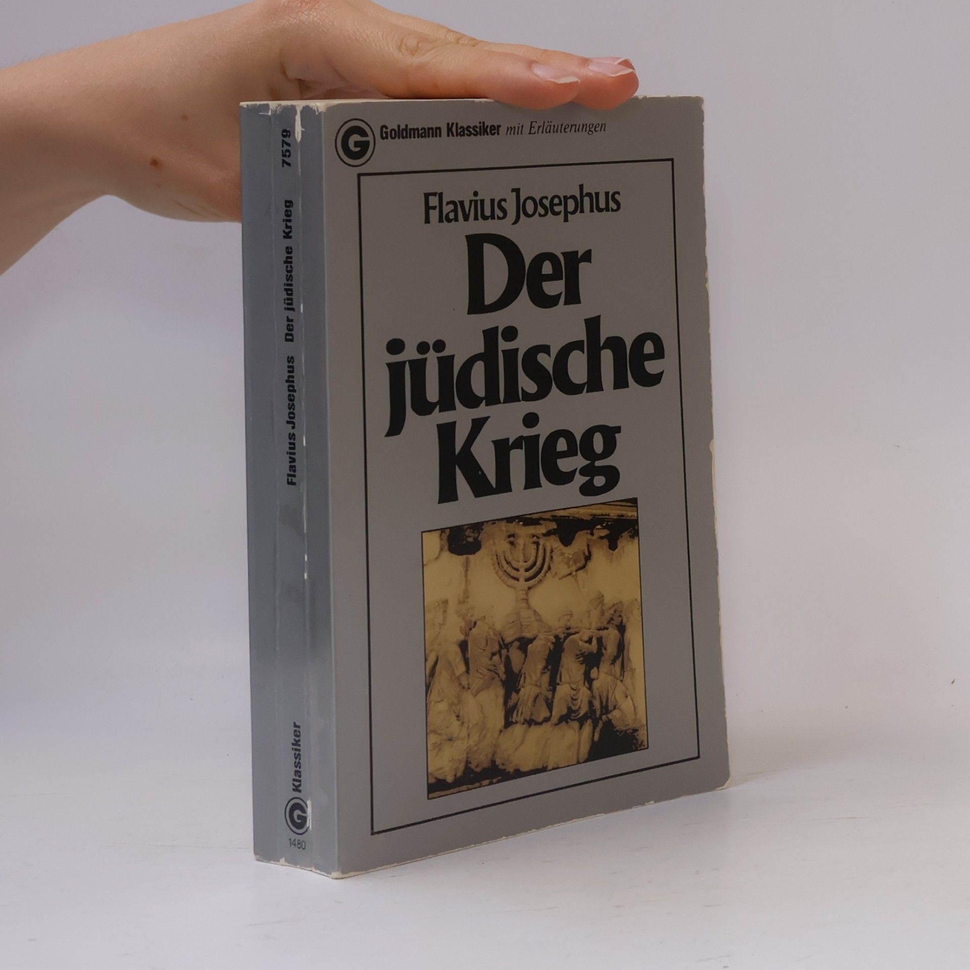 Josephus Der jüdische Krieg