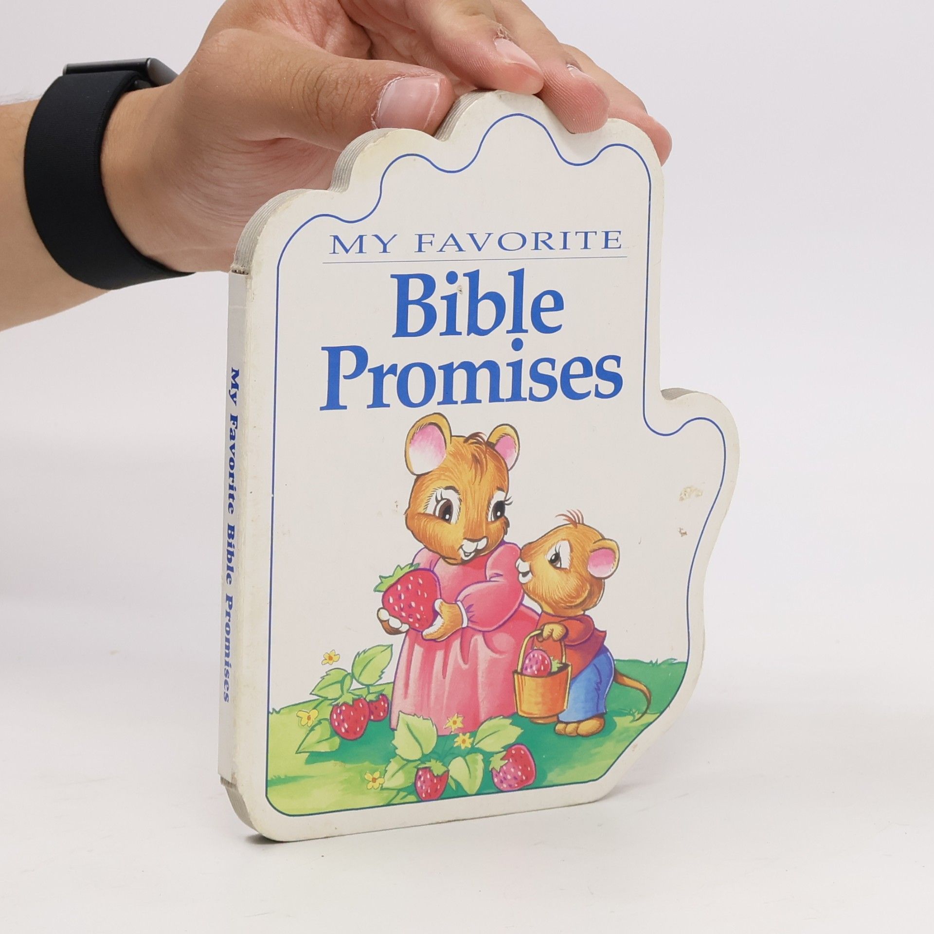 Autorenkollektiv My Favorite Bible Promises
