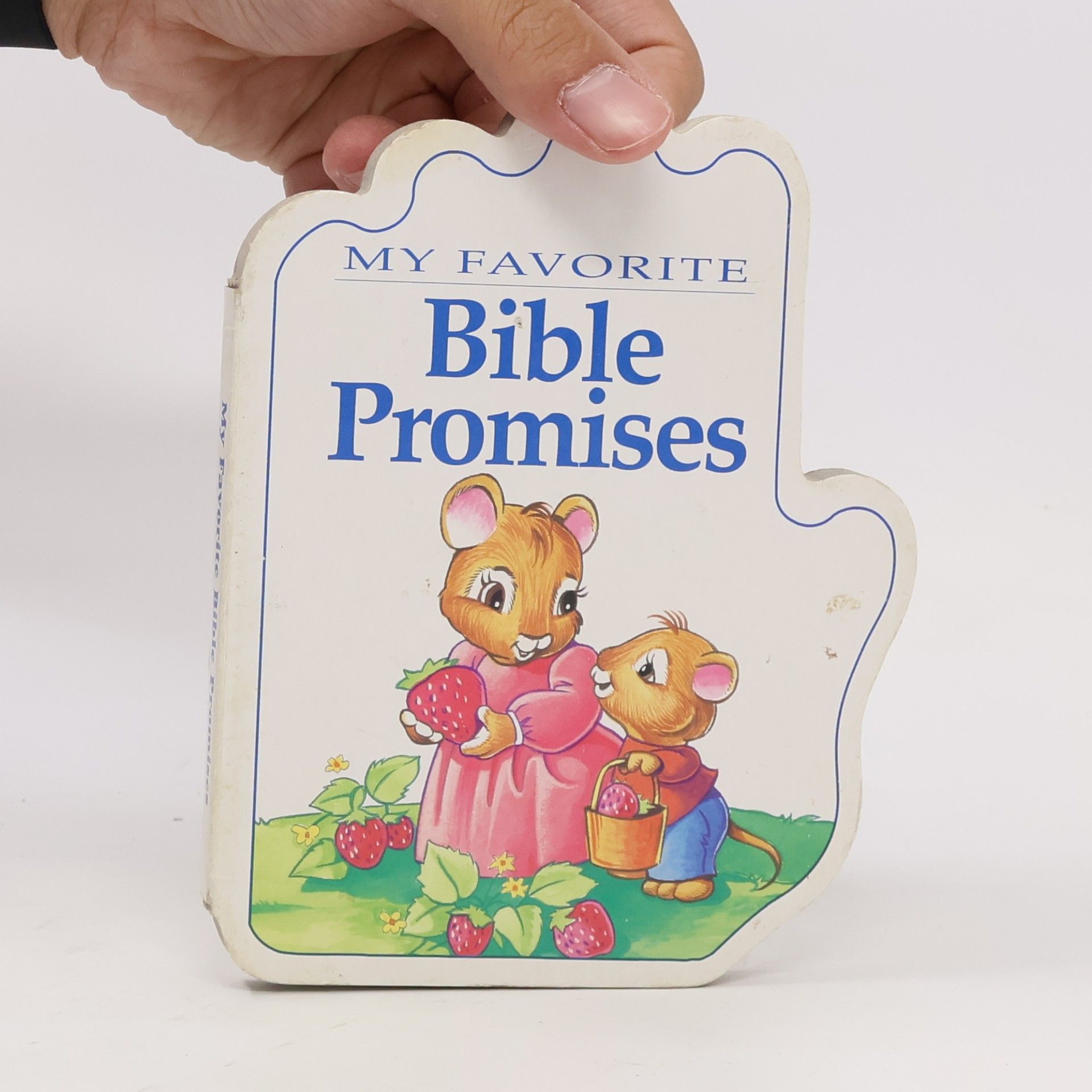 Autorenkollektiv My Favorite Bible Promises