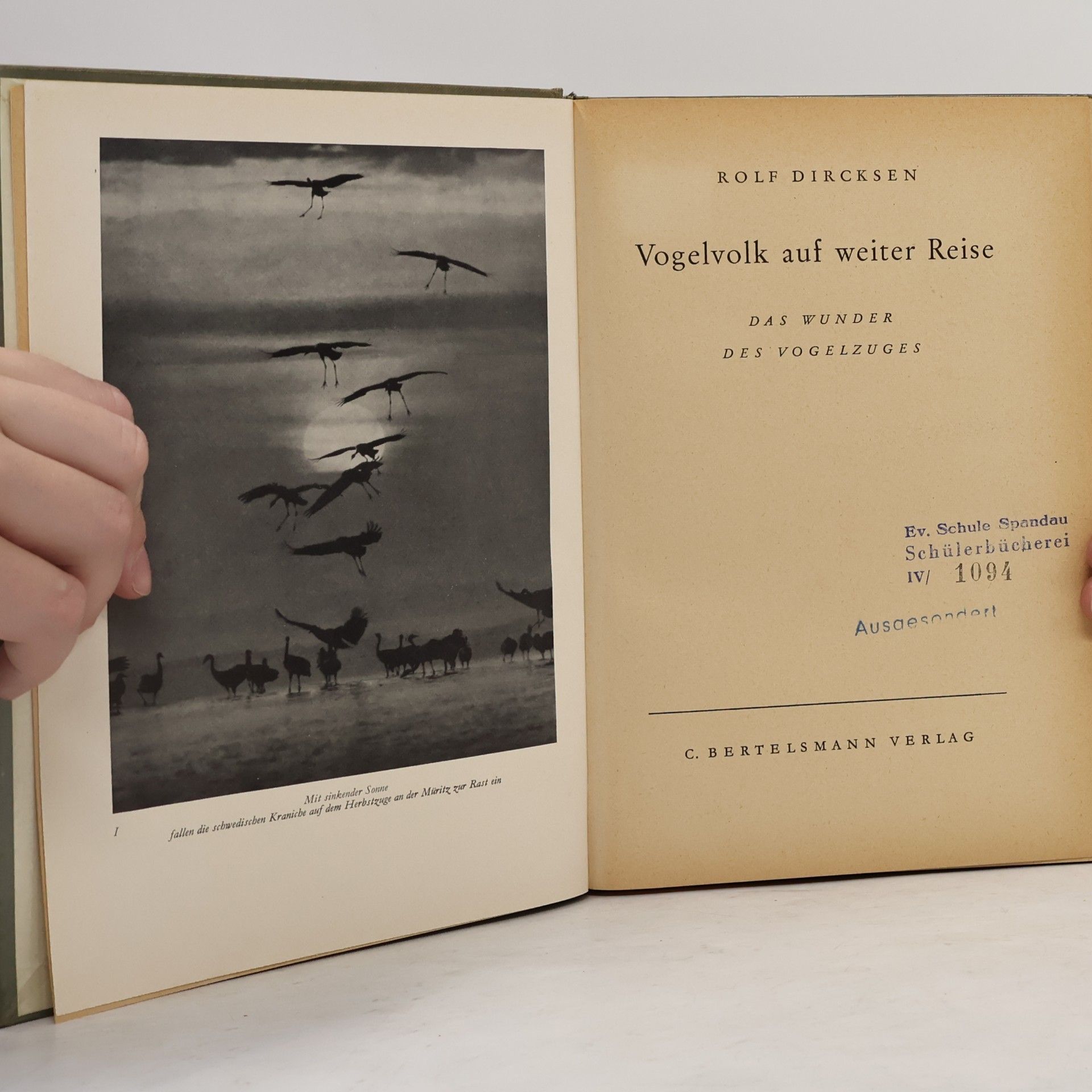 Rolf Dircksen Vogelvolk auf weiter Reise. Das Wunder des Vogelzuges