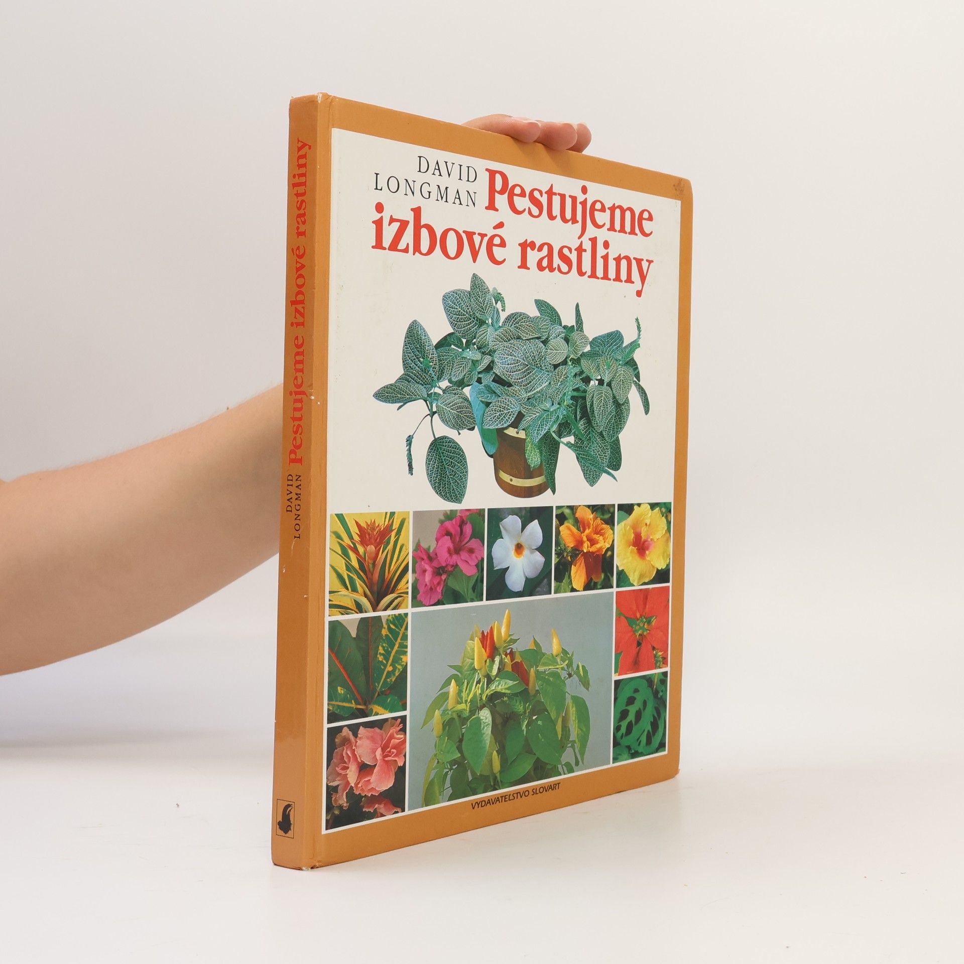 David Longman Pestujeme izbové rastliny