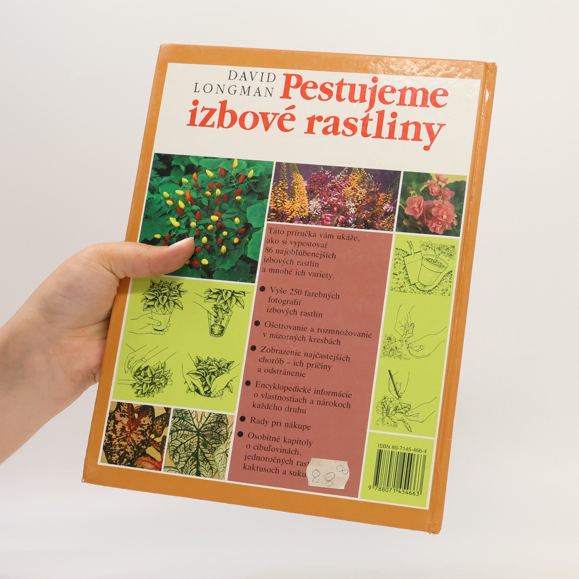 David Longman Pestujeme izbové rastliny