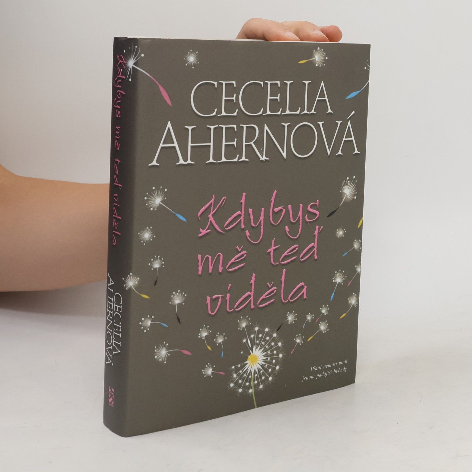 Cecelia Ahern Kdybys mě teď viděla
