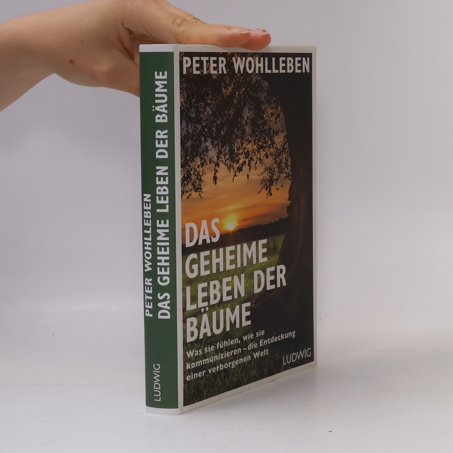 Peter Wohlleben Das geheime Leben der Bäume
