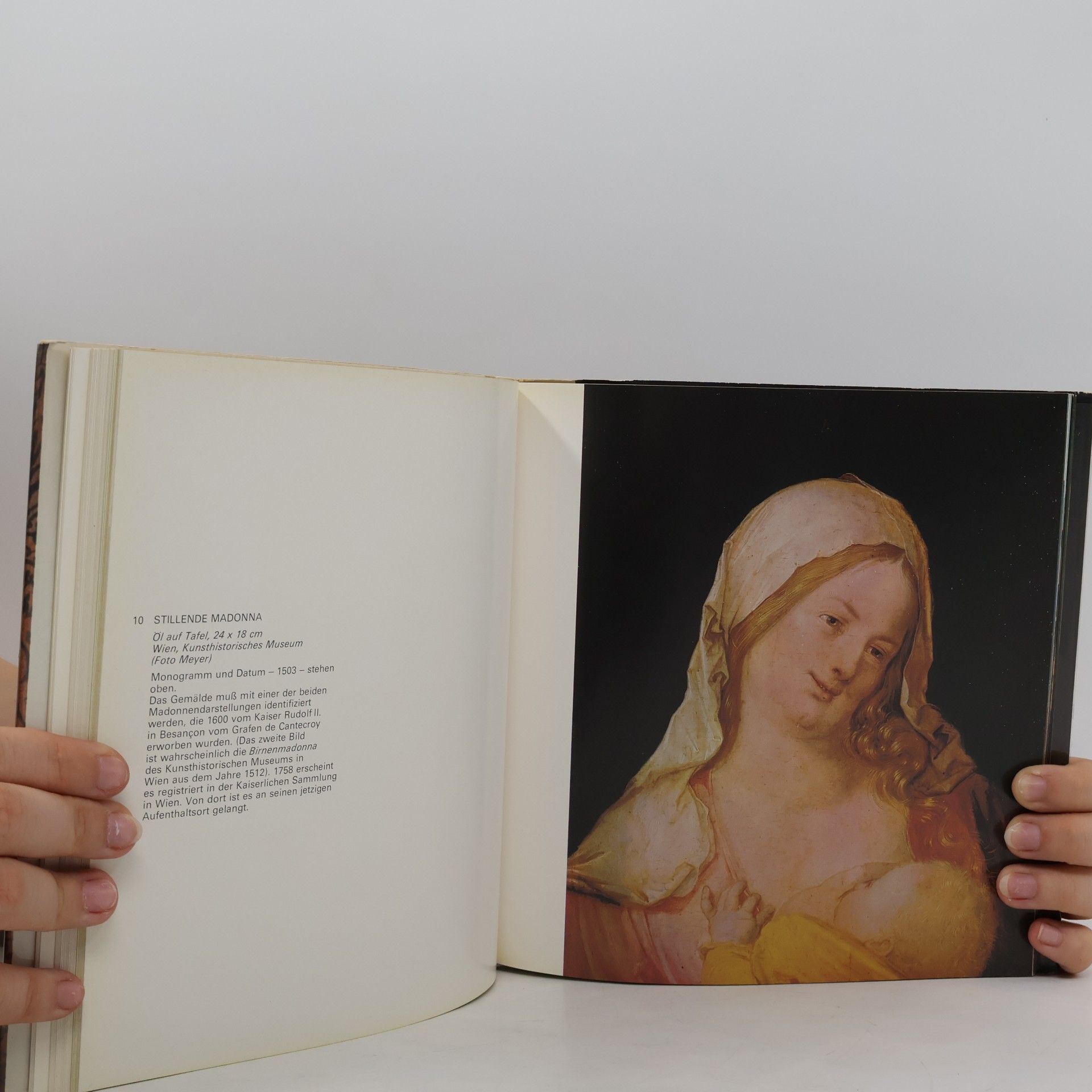 Ugo Ruggeri Dürer