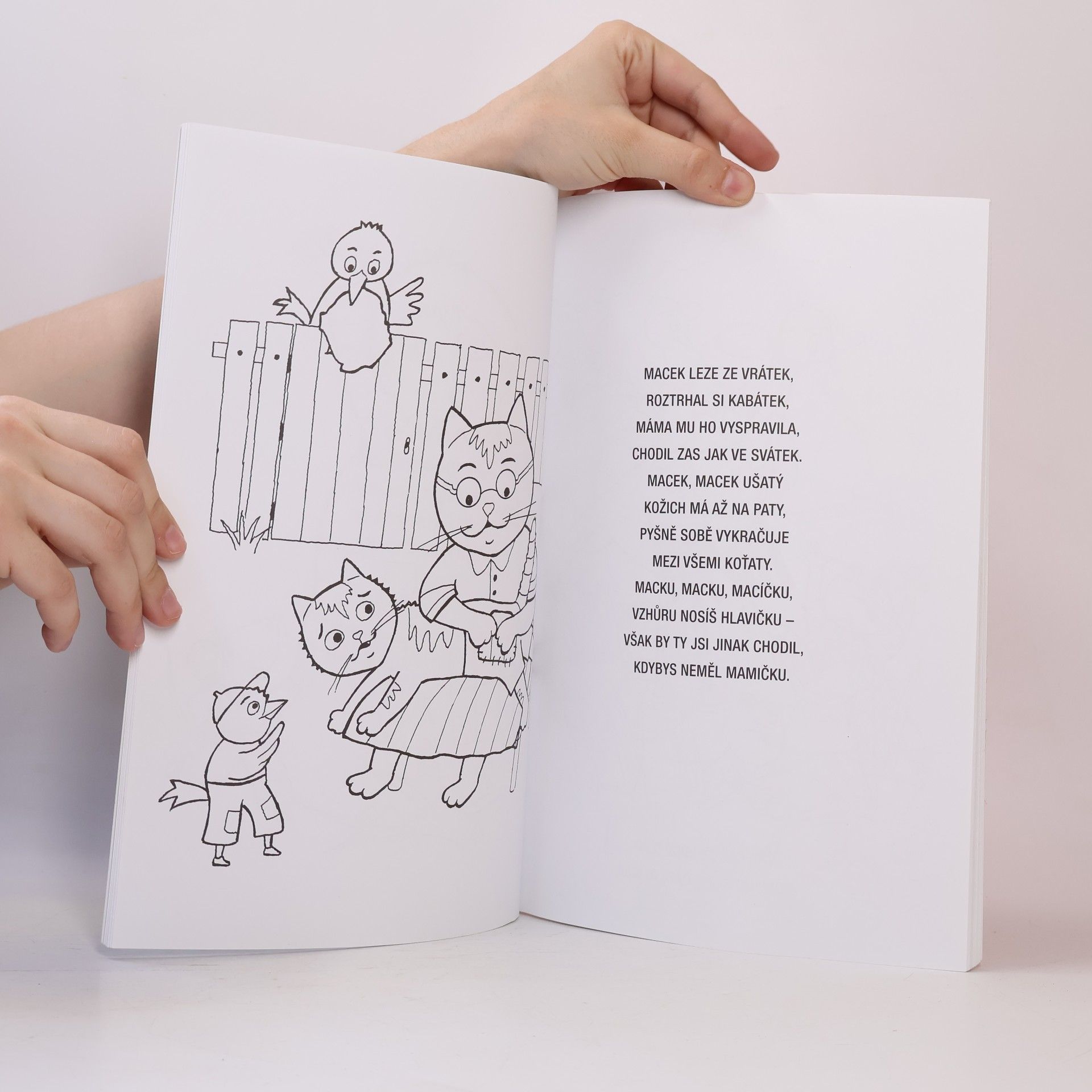Collectif d'auteurs Vybarvuj písničky