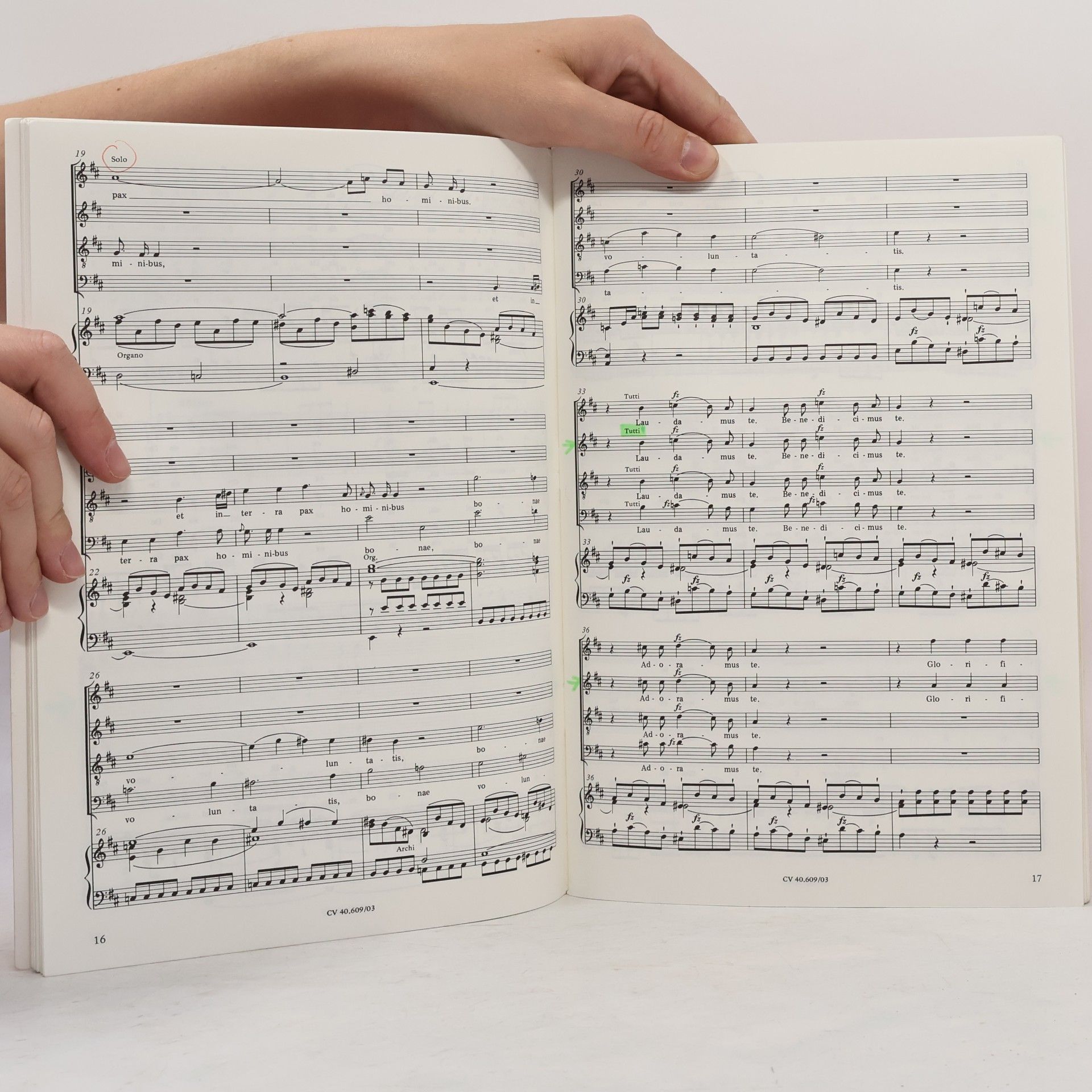 Joseph Haydn Missa in Angustiis