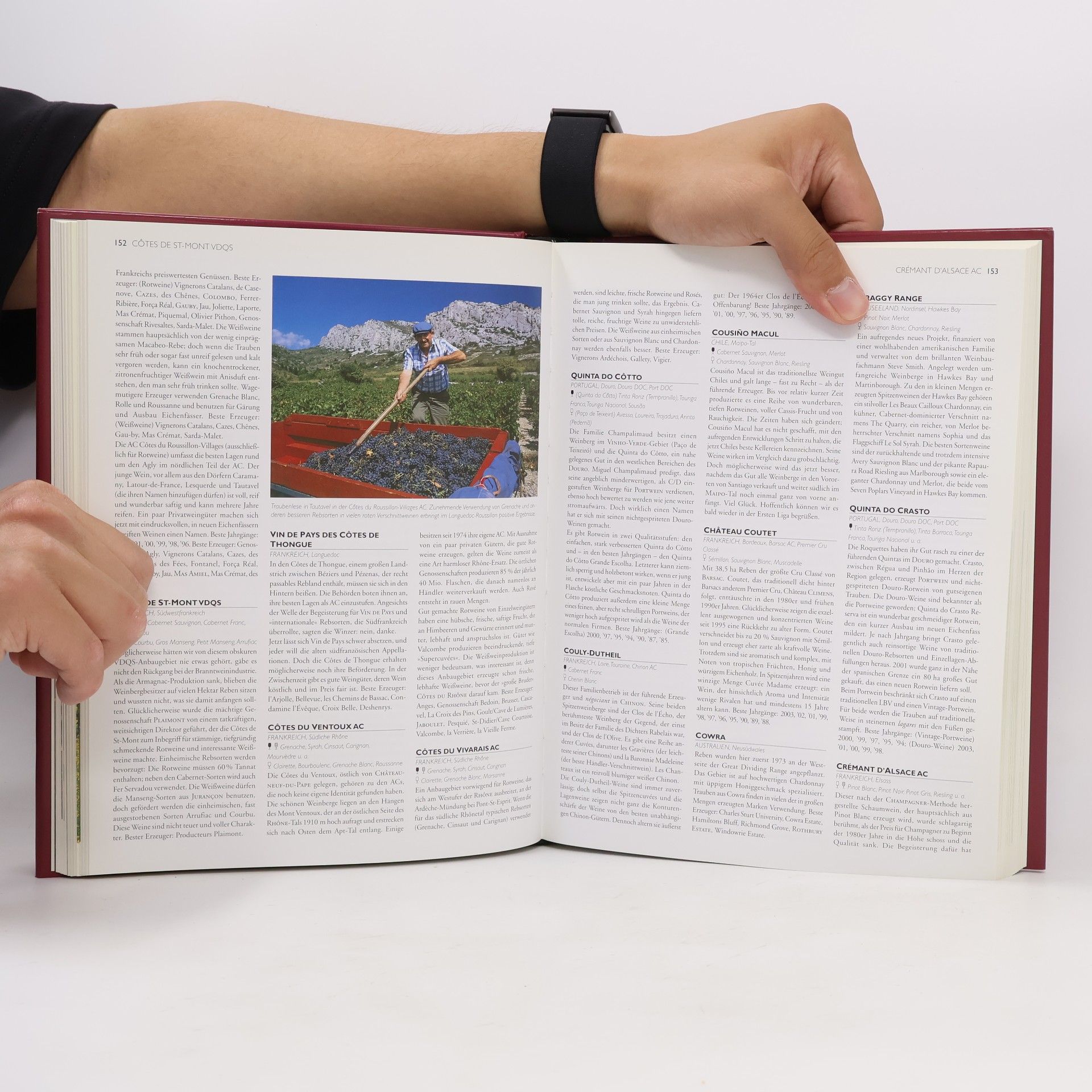 Oz Clarke Clarke´s neues Lexikon der Weine