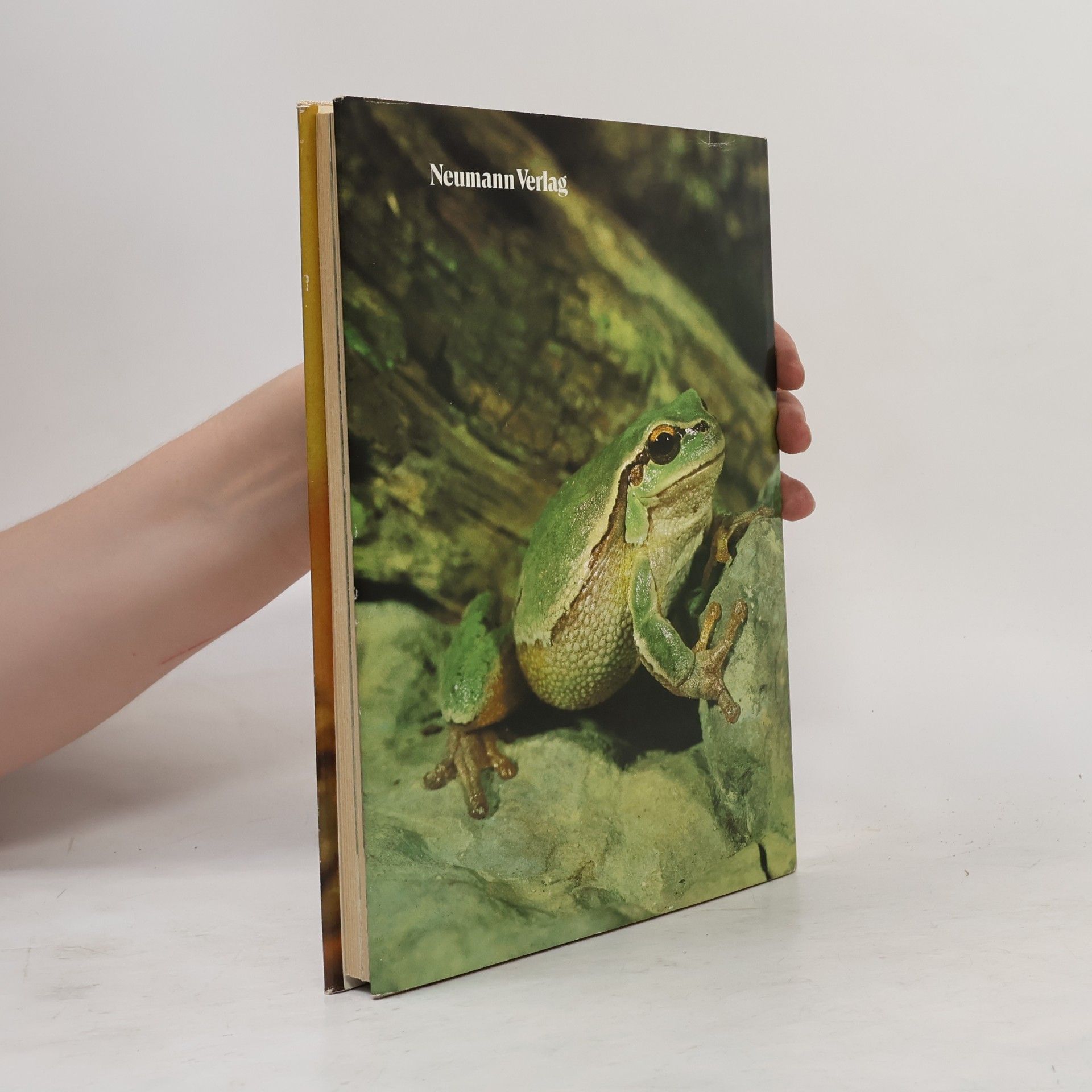 Jürgen Fritzsche Das praktische Terrarienbuch
