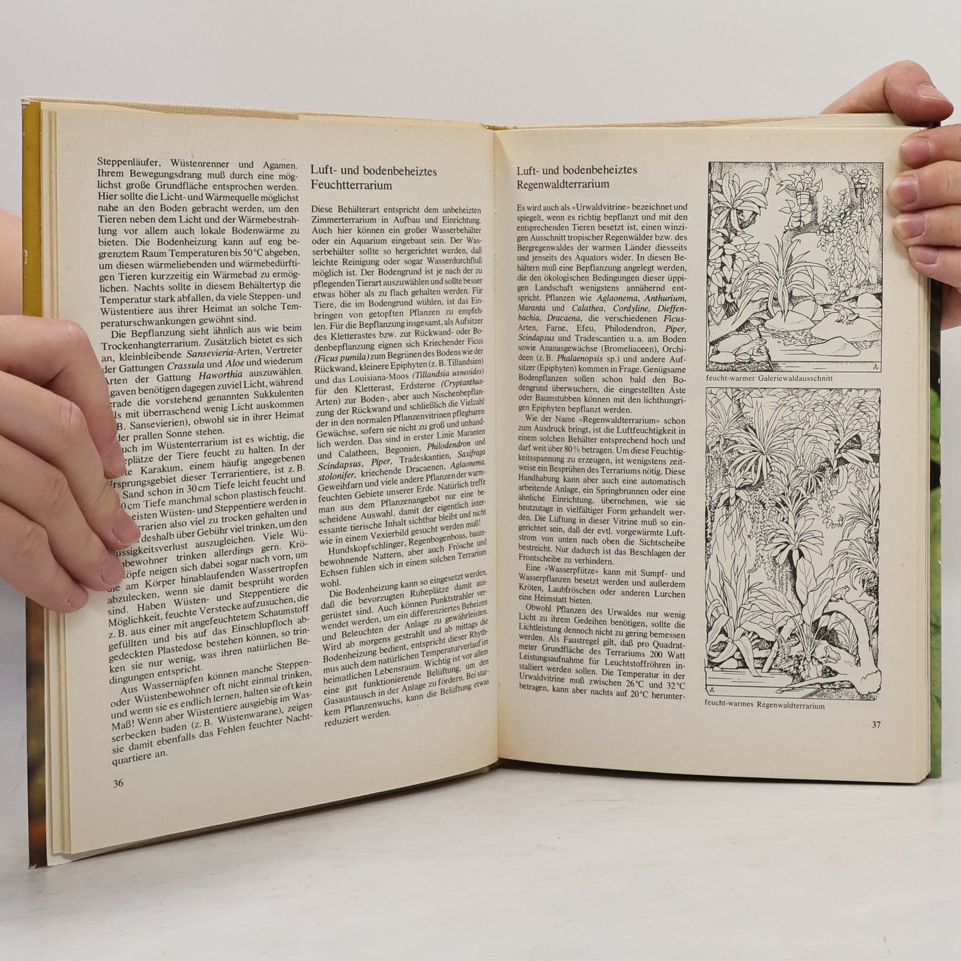 Jürgen Fritzsche Das praktische Terrarienbuch