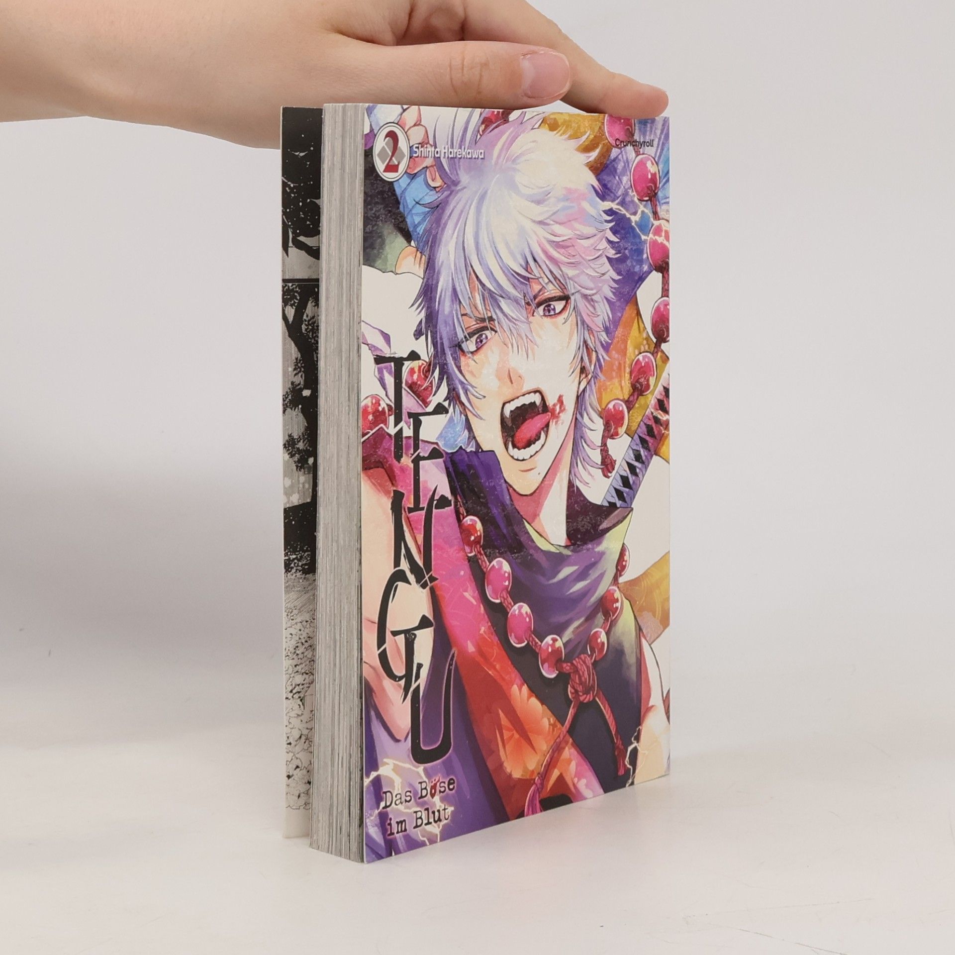 Shinta Harekawa Tengu - 2: Das Böse im Blut