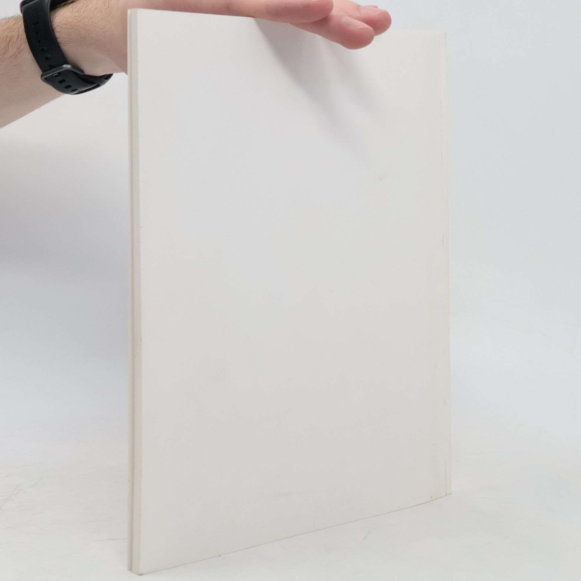 Kolektiv autorů  R. Leitner - Öl- und Acrylbilder