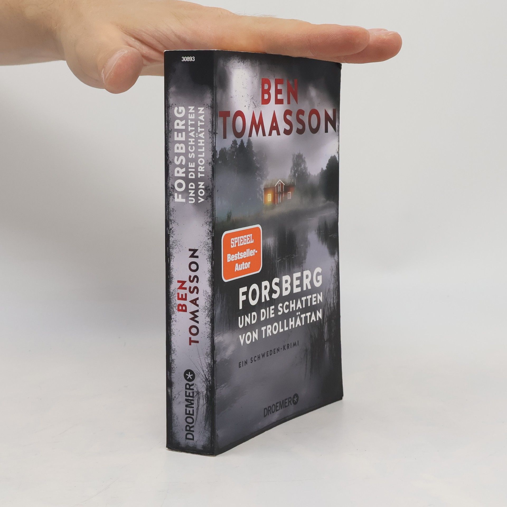Ben Tomasson Forsberg und die Schatten von Trollhättan / Frederik Forsberg Bd.4
